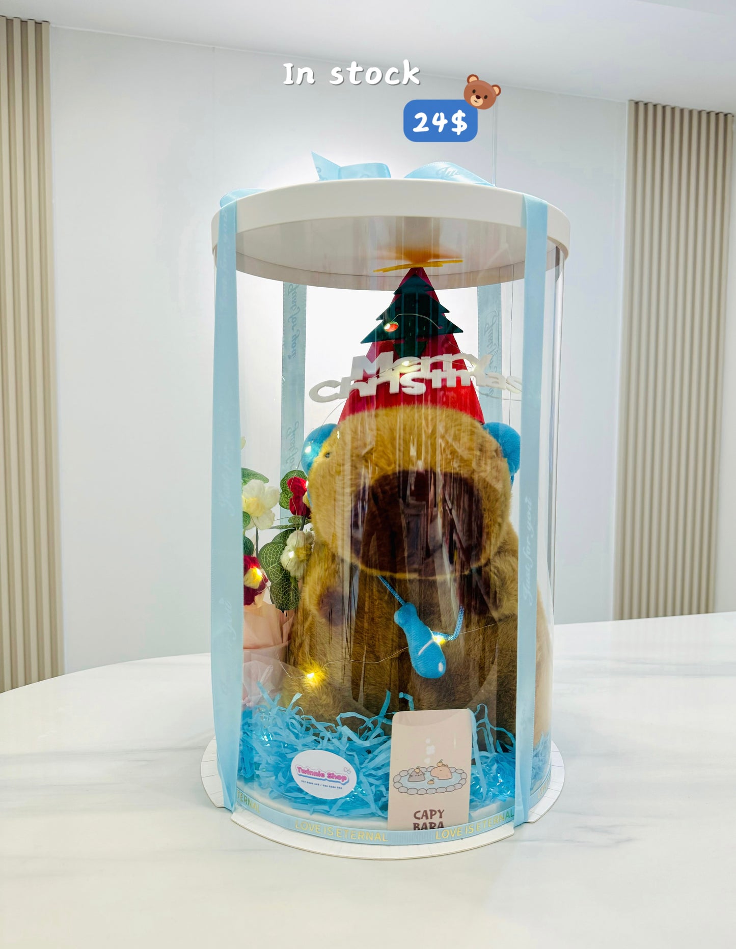 Xmas | Capybara Christmas big set