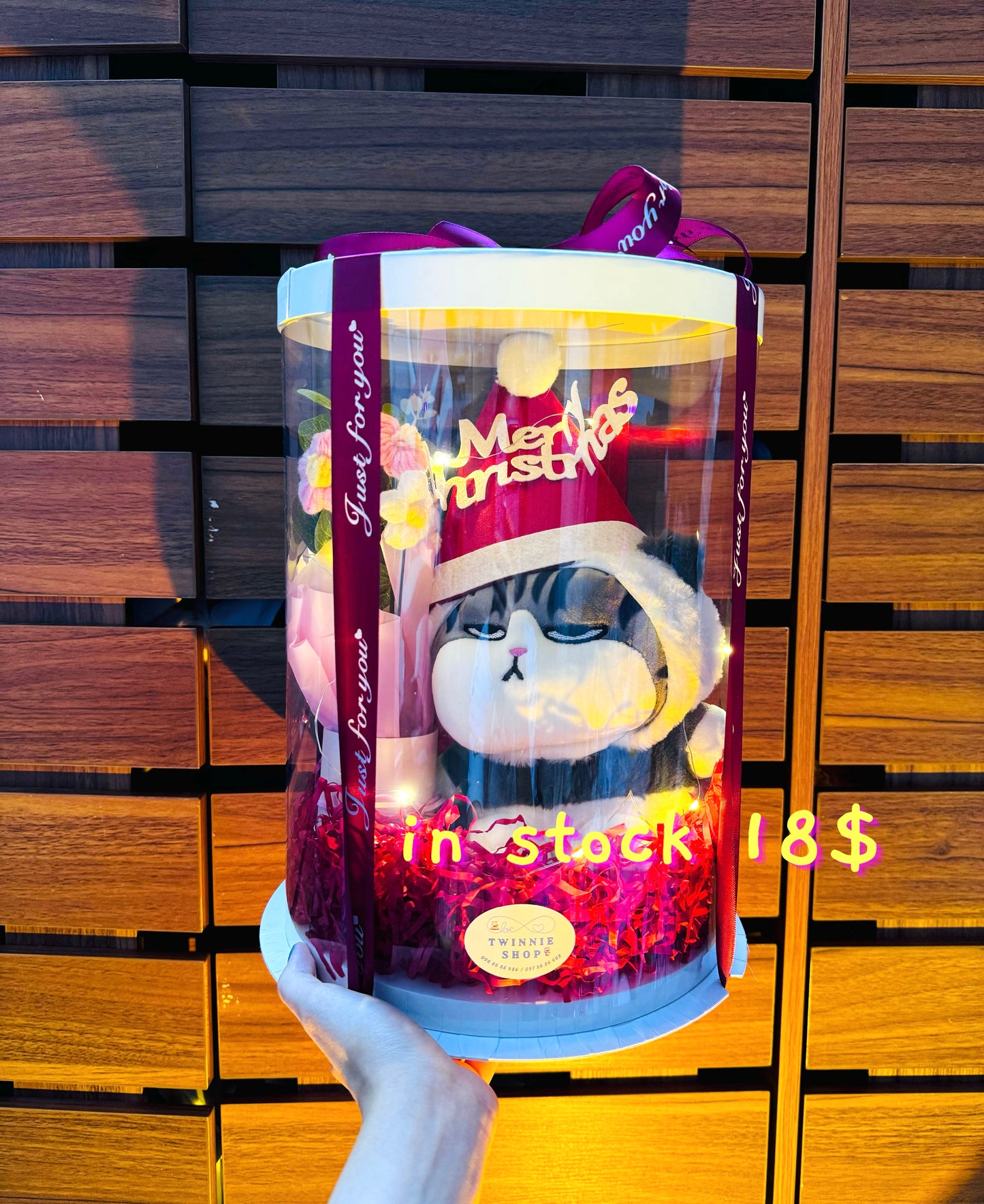 Xmas | Cat Christmas set