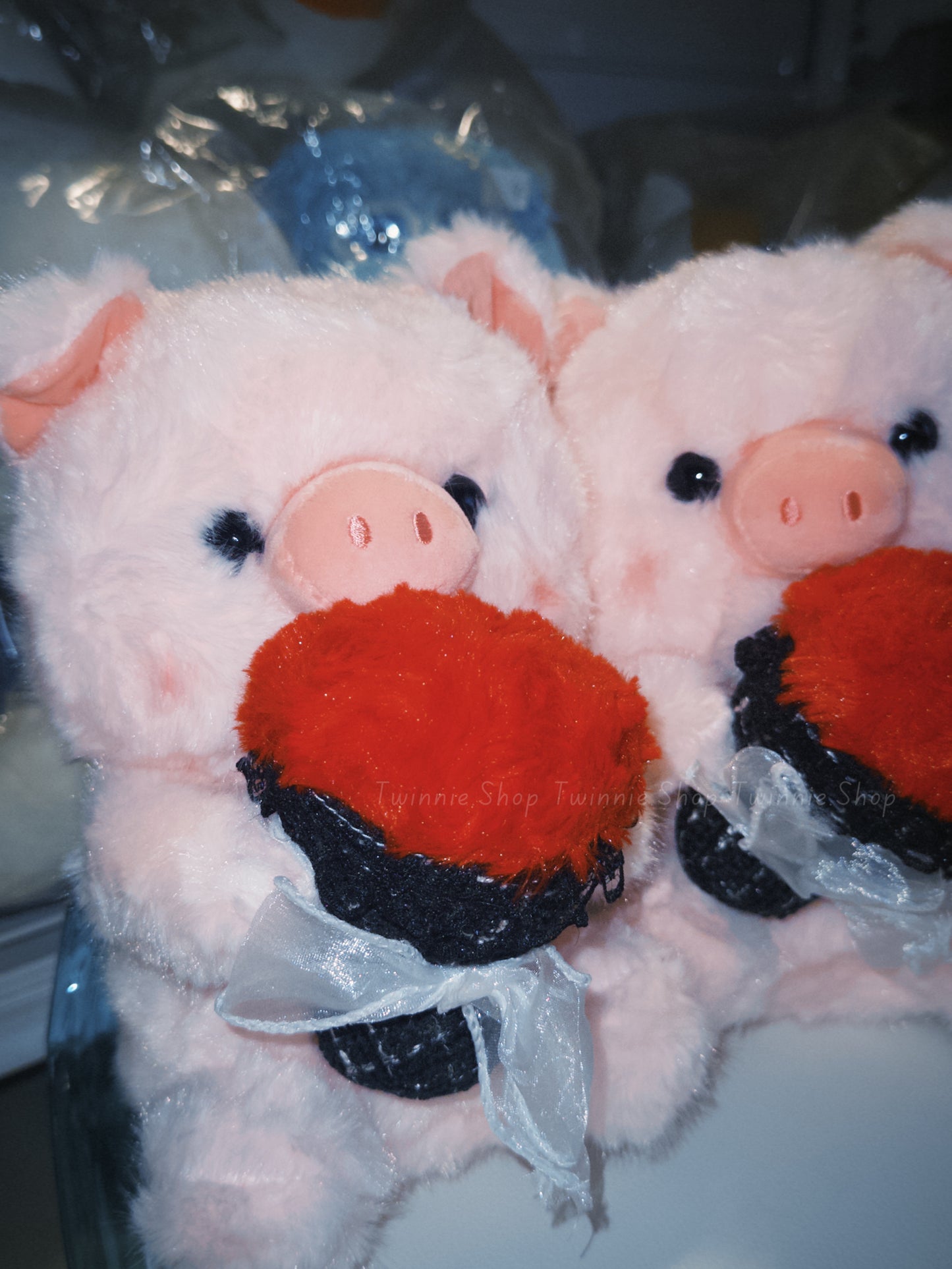 SD | Rose pig