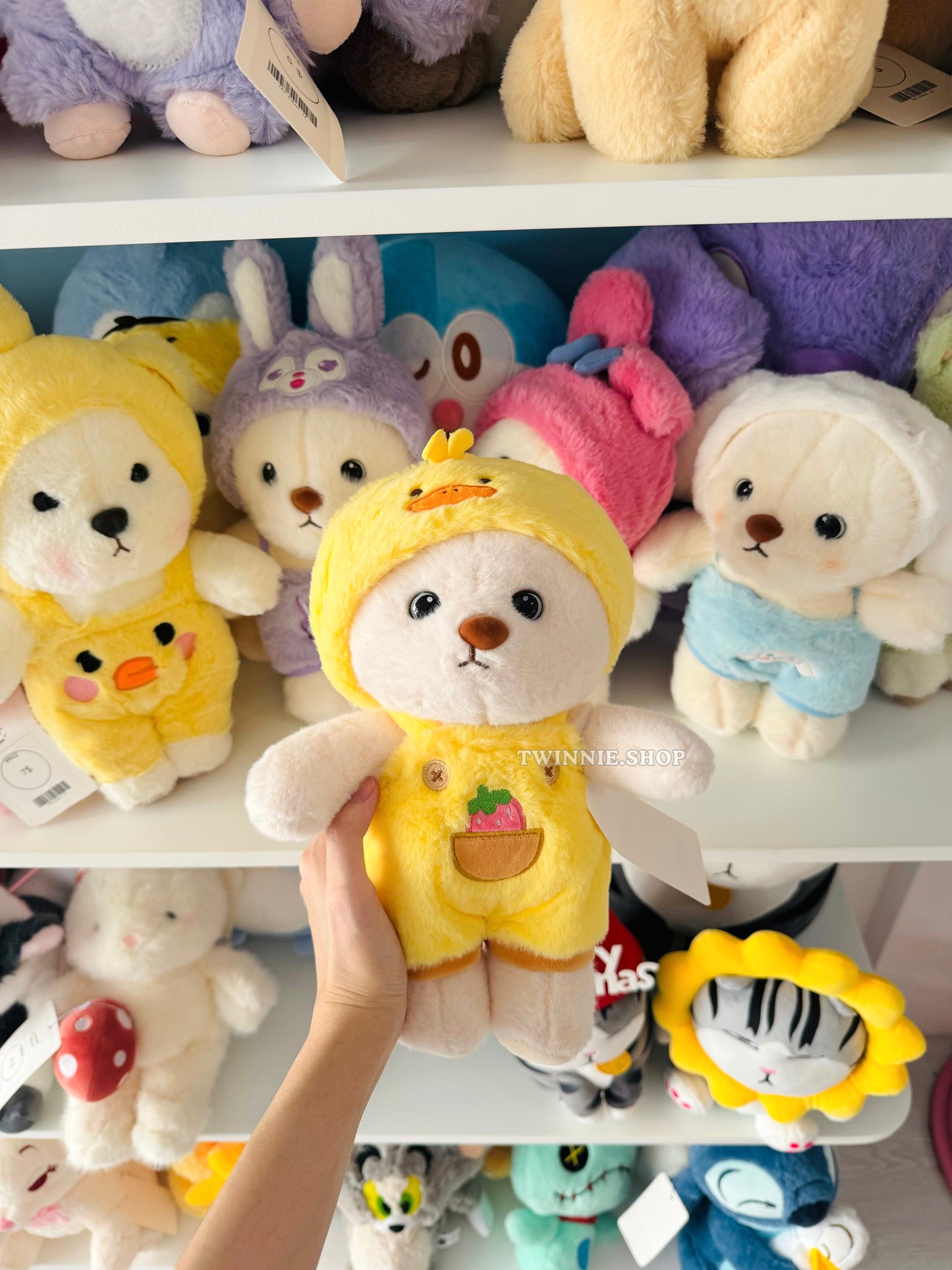 SD | Colorful bear