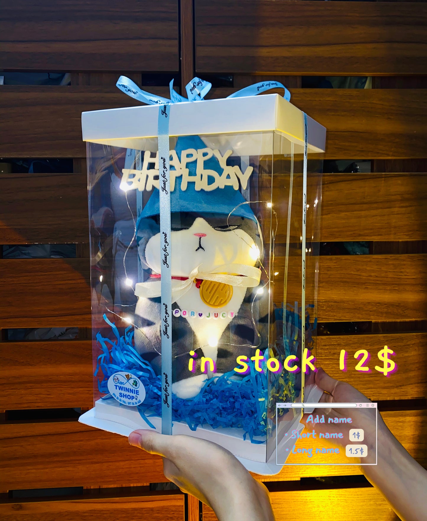 SRBBD | moody cat birthday box