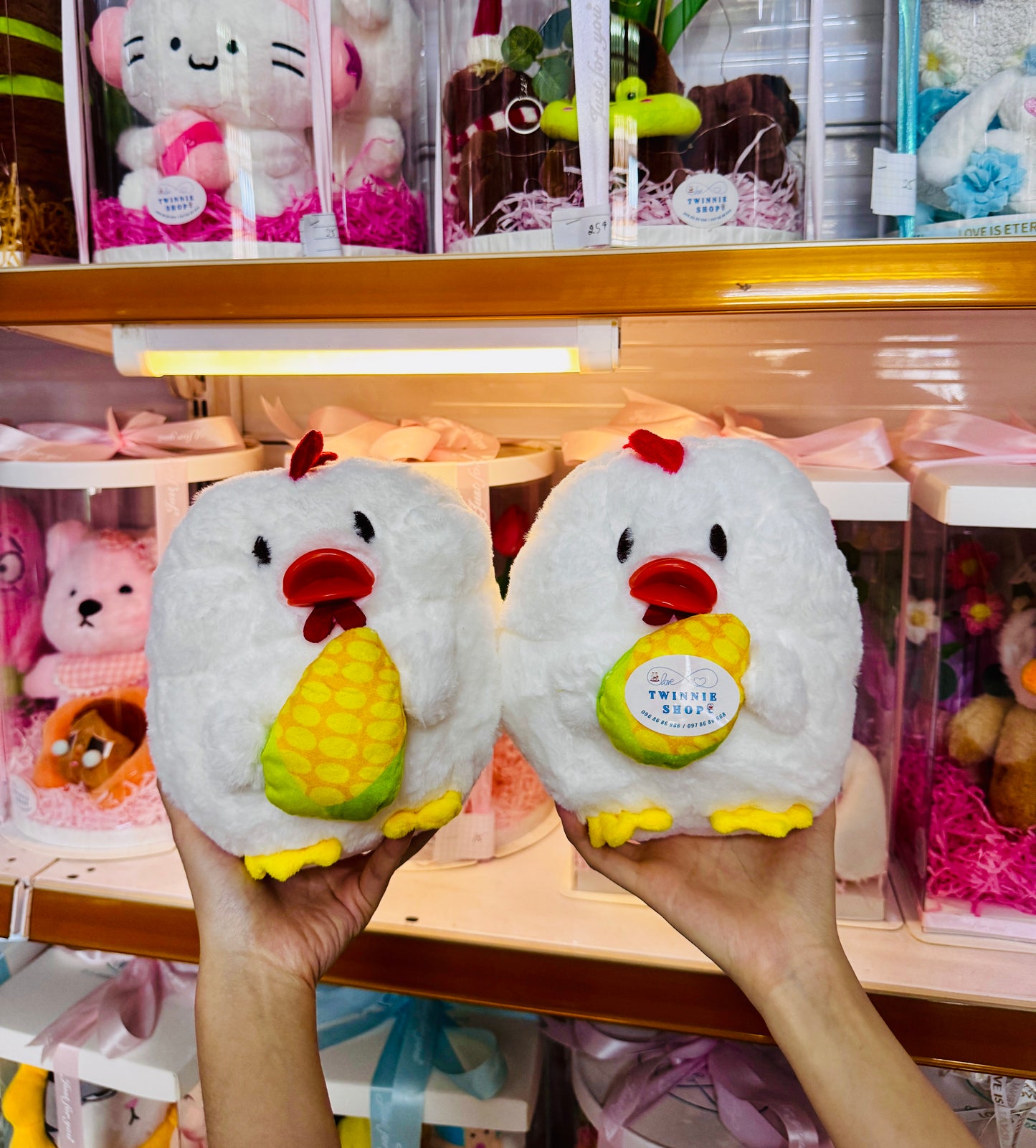SD | 20cm teddy