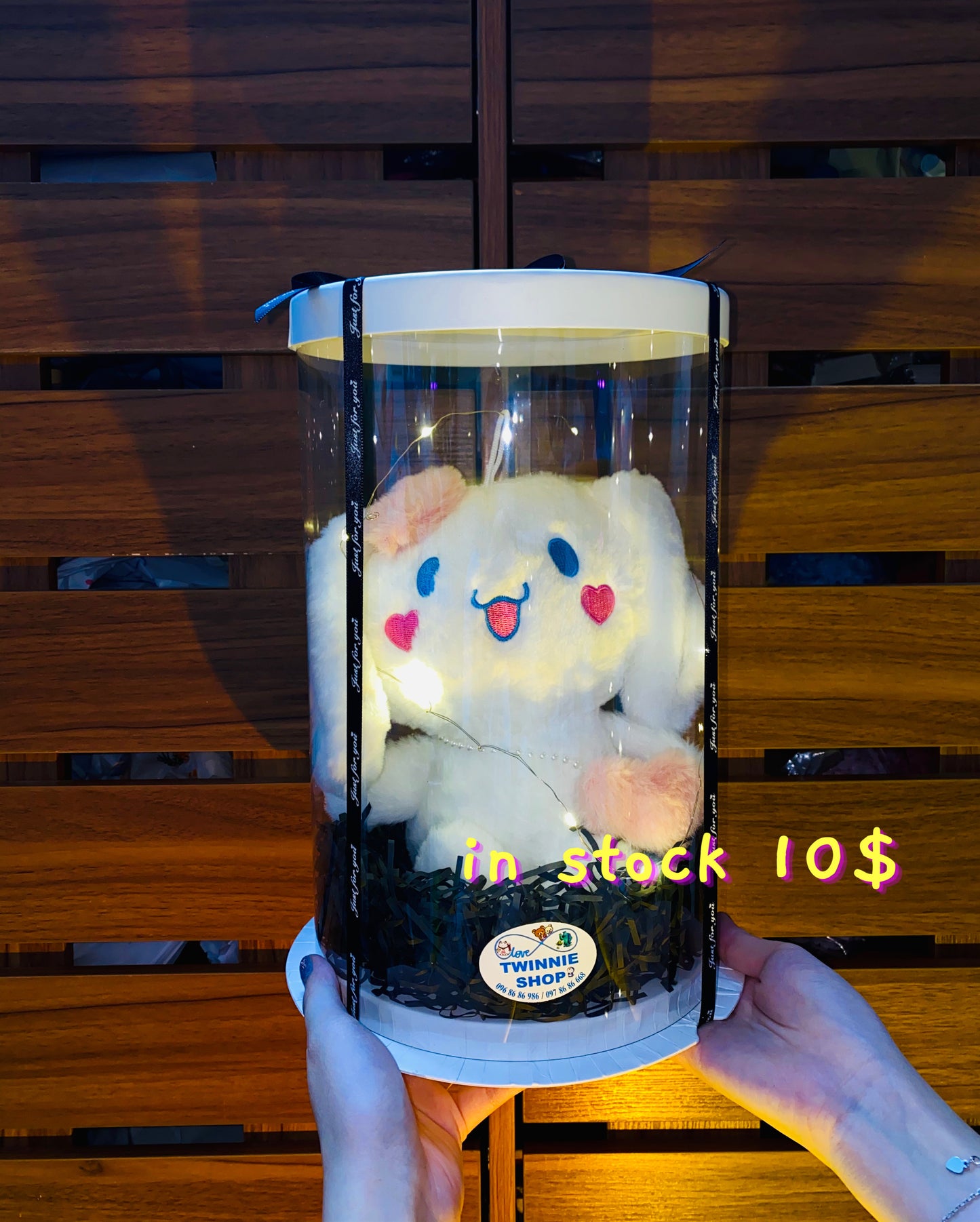 SRB | Cinamoroll gift set