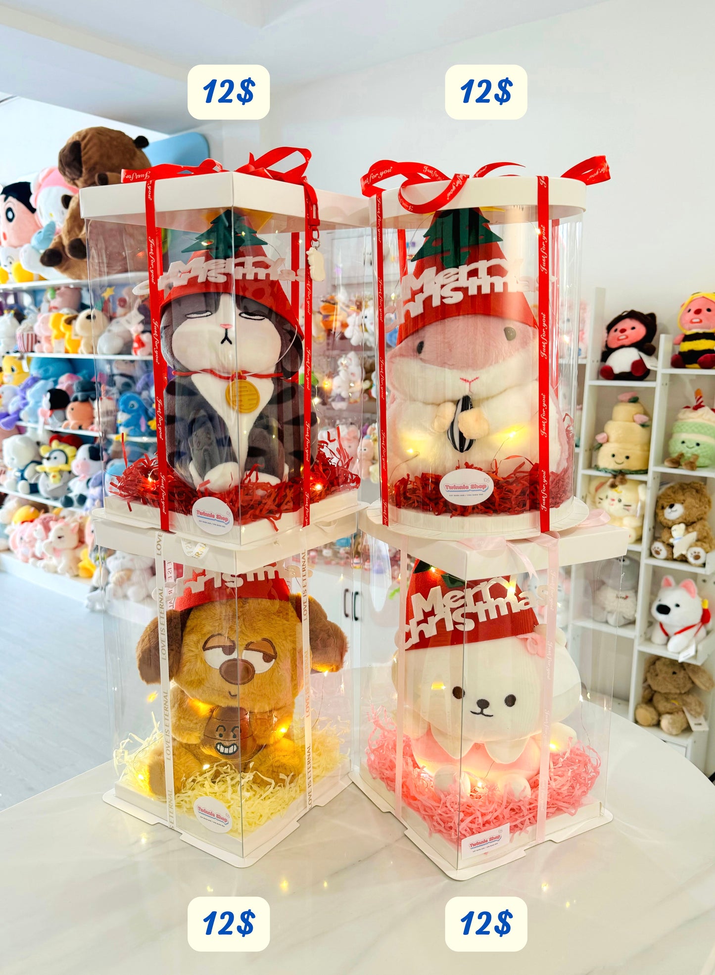 Xmas | Christmas set price