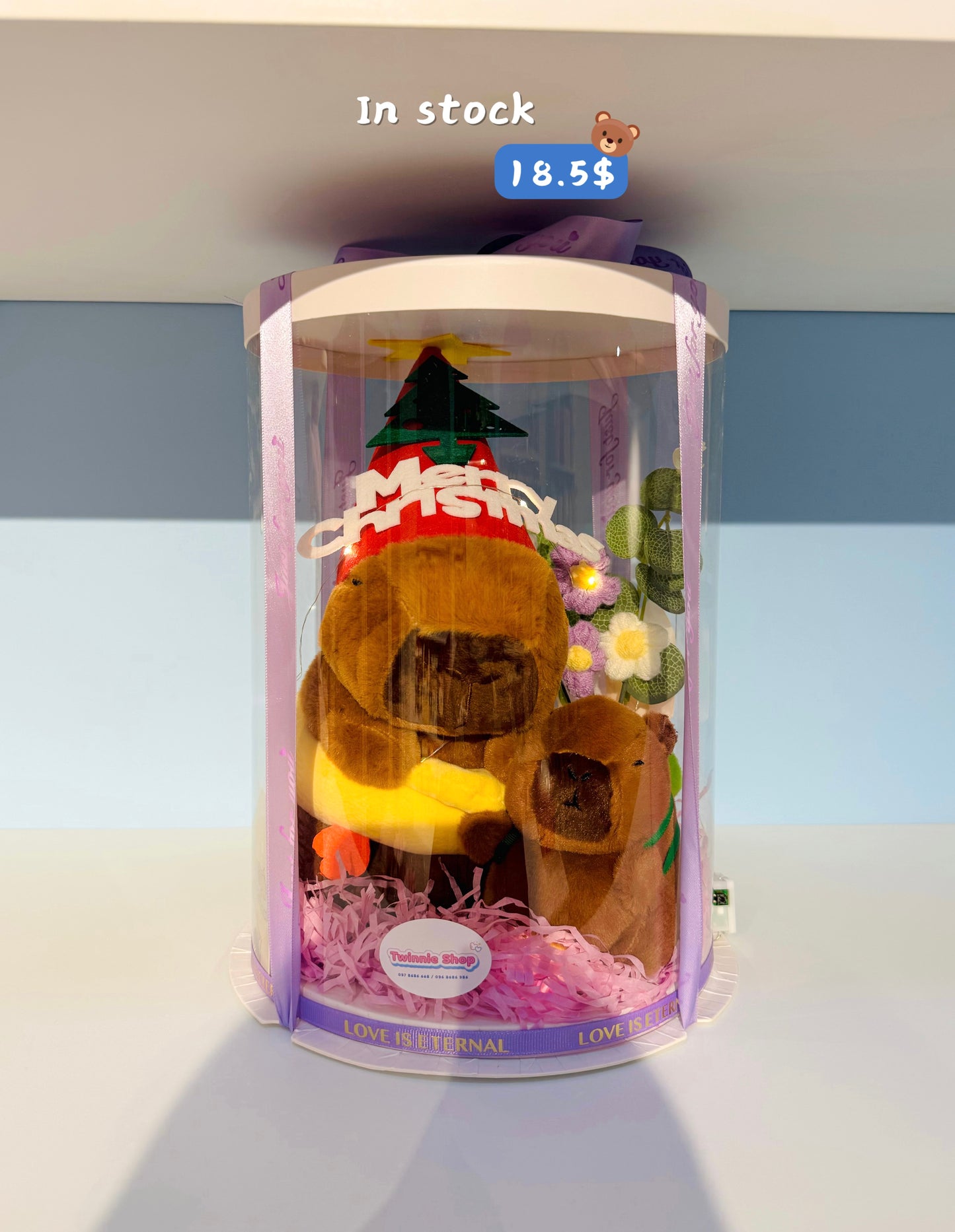 Xmas | Capybara Christmas  set