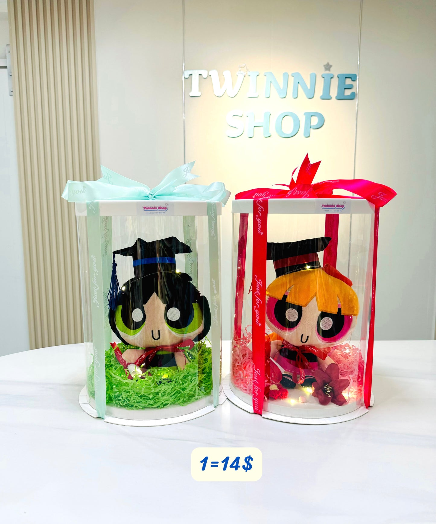 GRA | Power Puff girl graduate set
