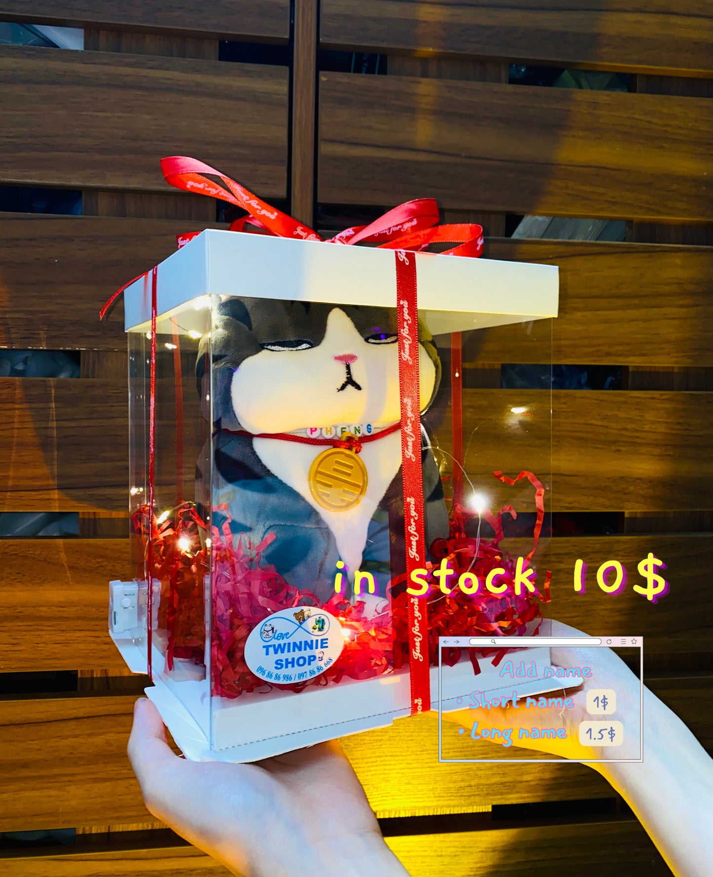 SRB10 | moody cat gift box