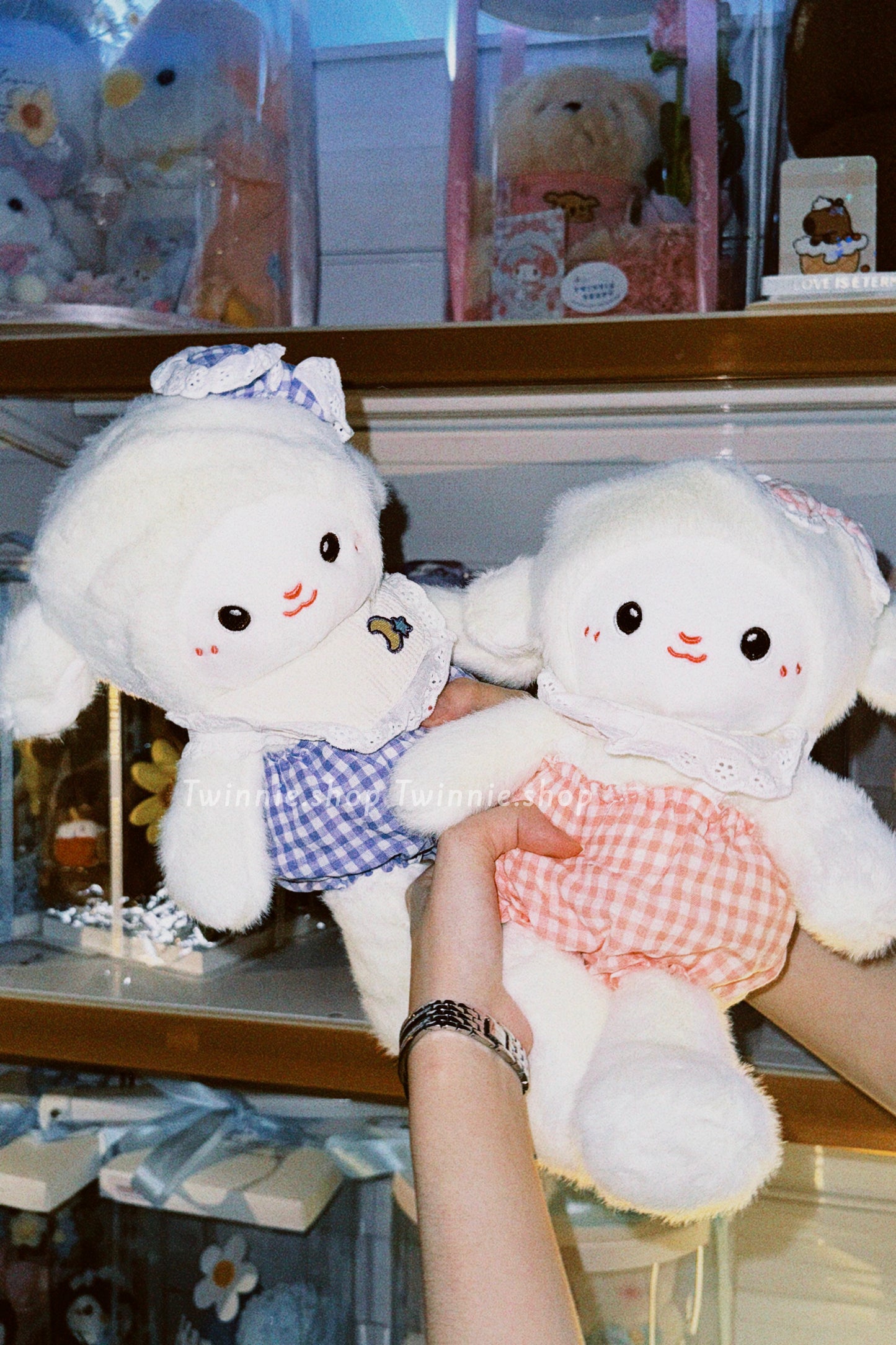 SD | White ribbon sheep