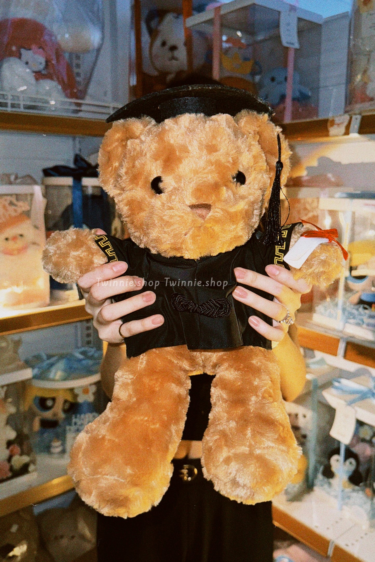 BT | Graduate brown bear