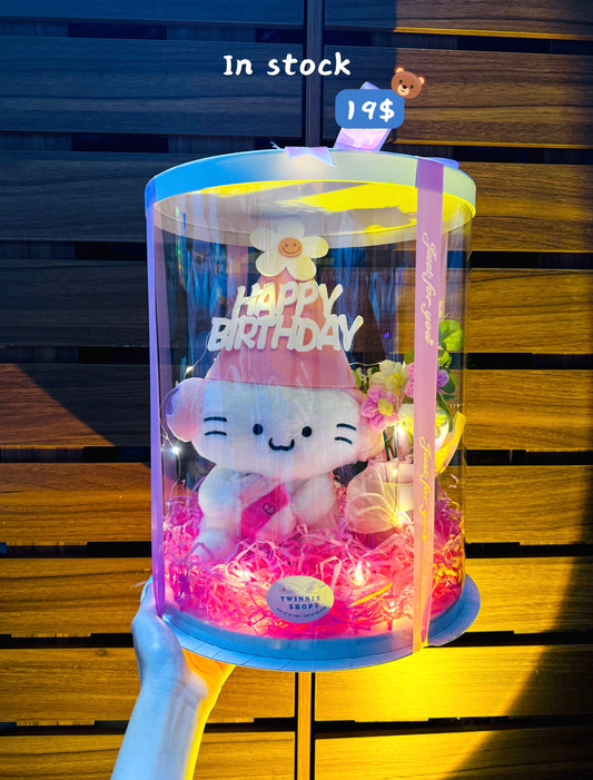 BD19 | Music cat birthday set