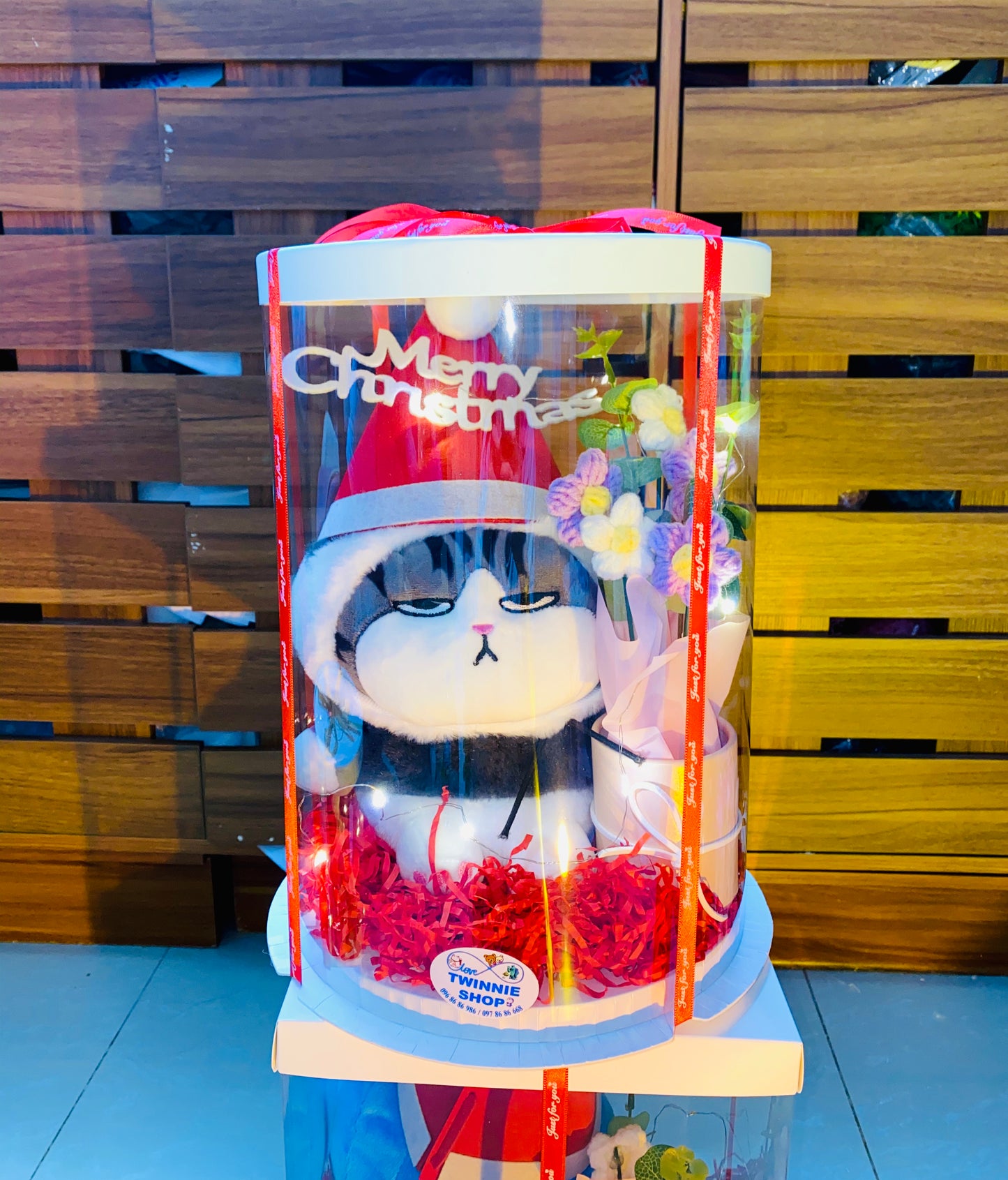 Xmas | Cat Christmas set