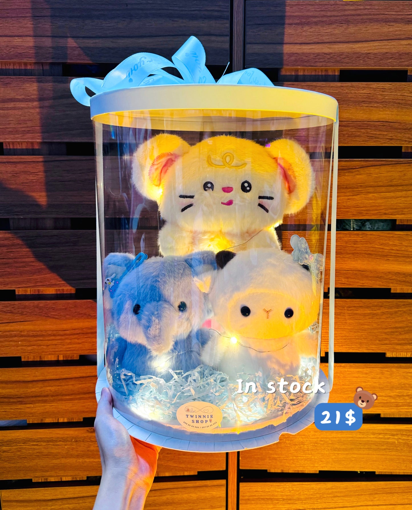 CPB | Mix teddy family set