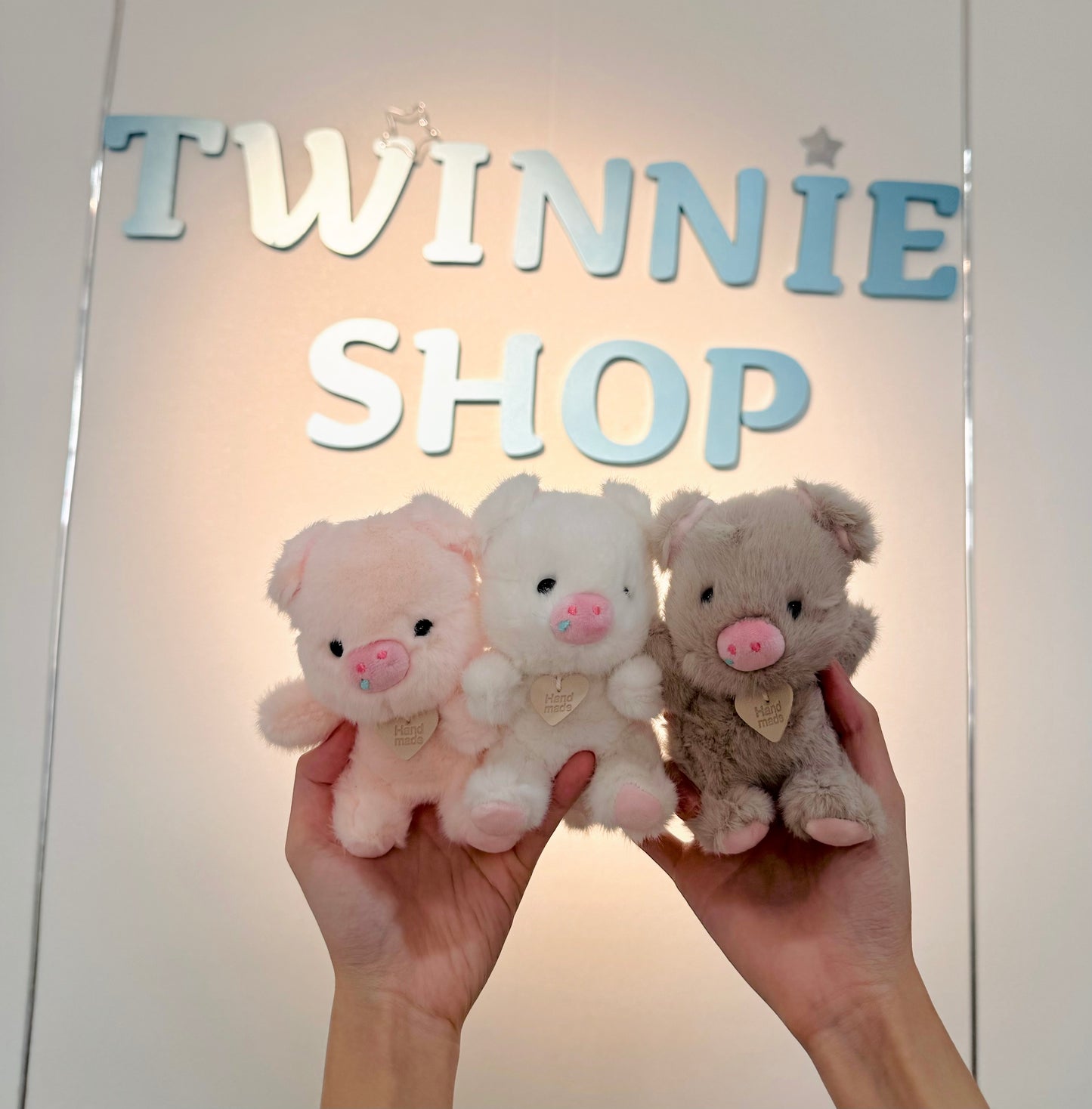 KEY | Piggy keychain