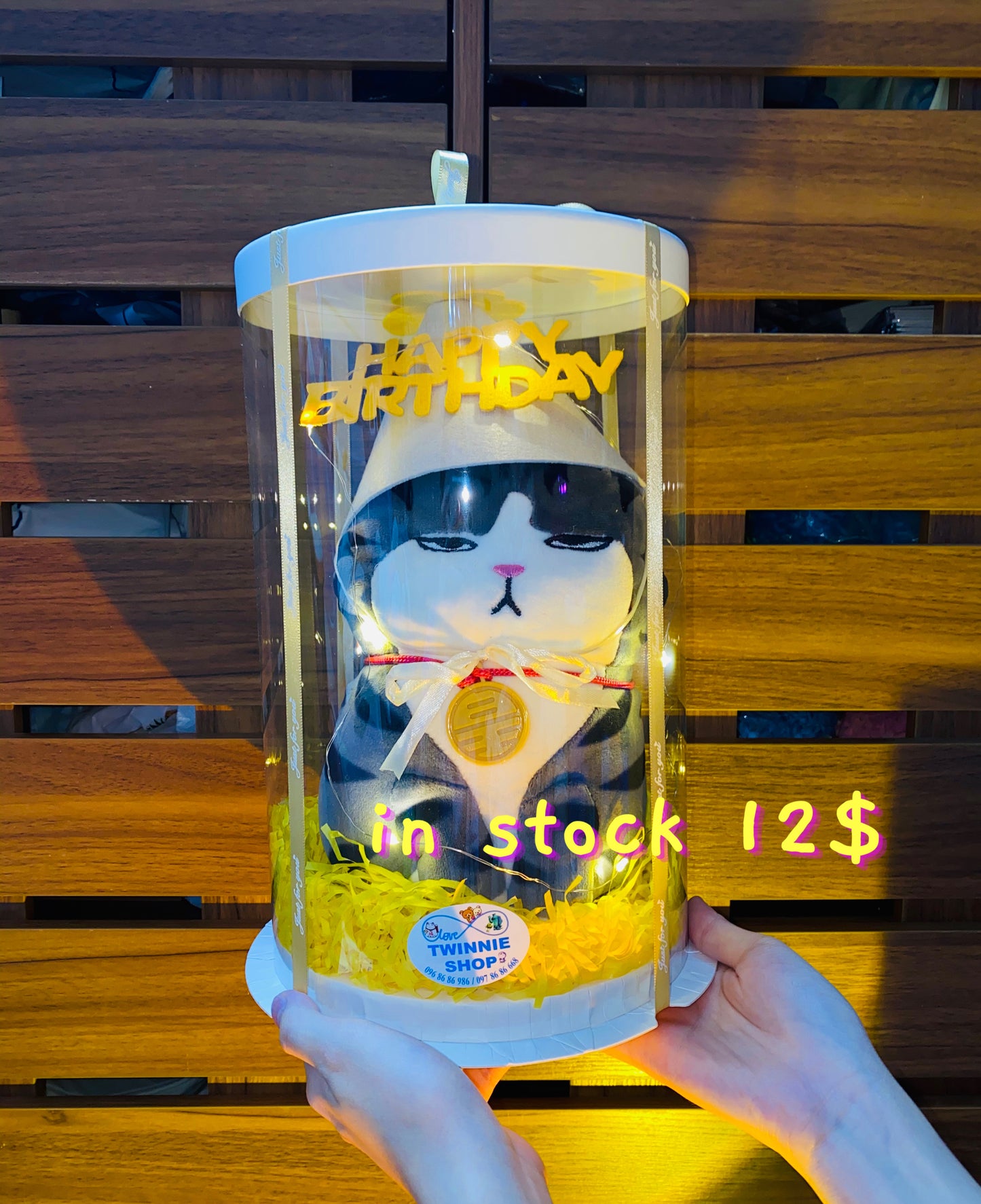 SRBBD | moody cat birthday box