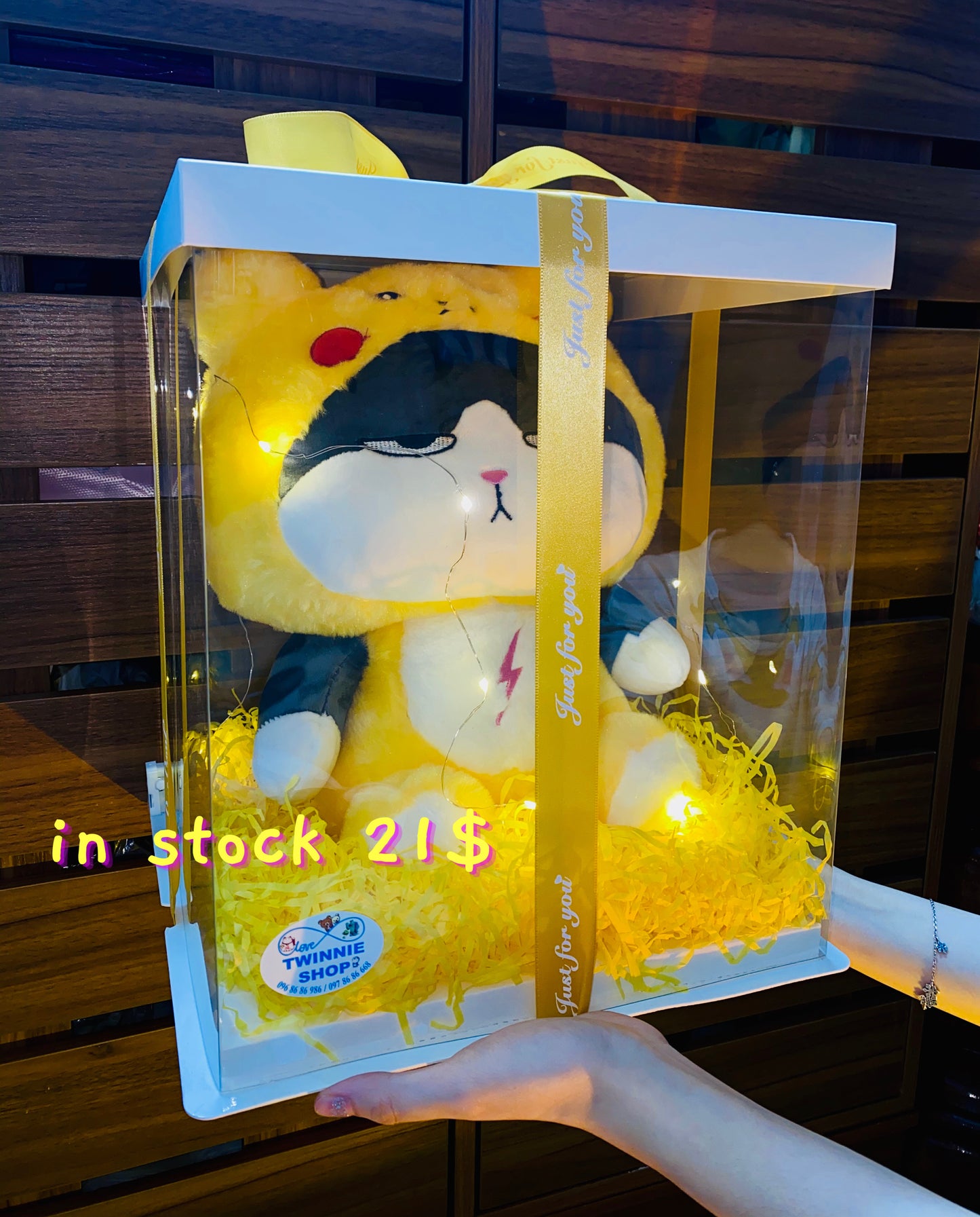 BB | Teddy shirt cat gift set