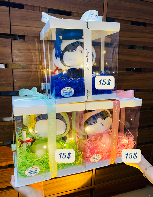GRA | Colorful cat graduate gift set
