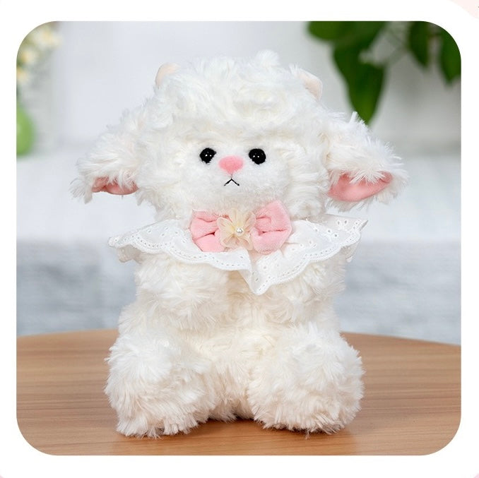 SD | Sheep teddy