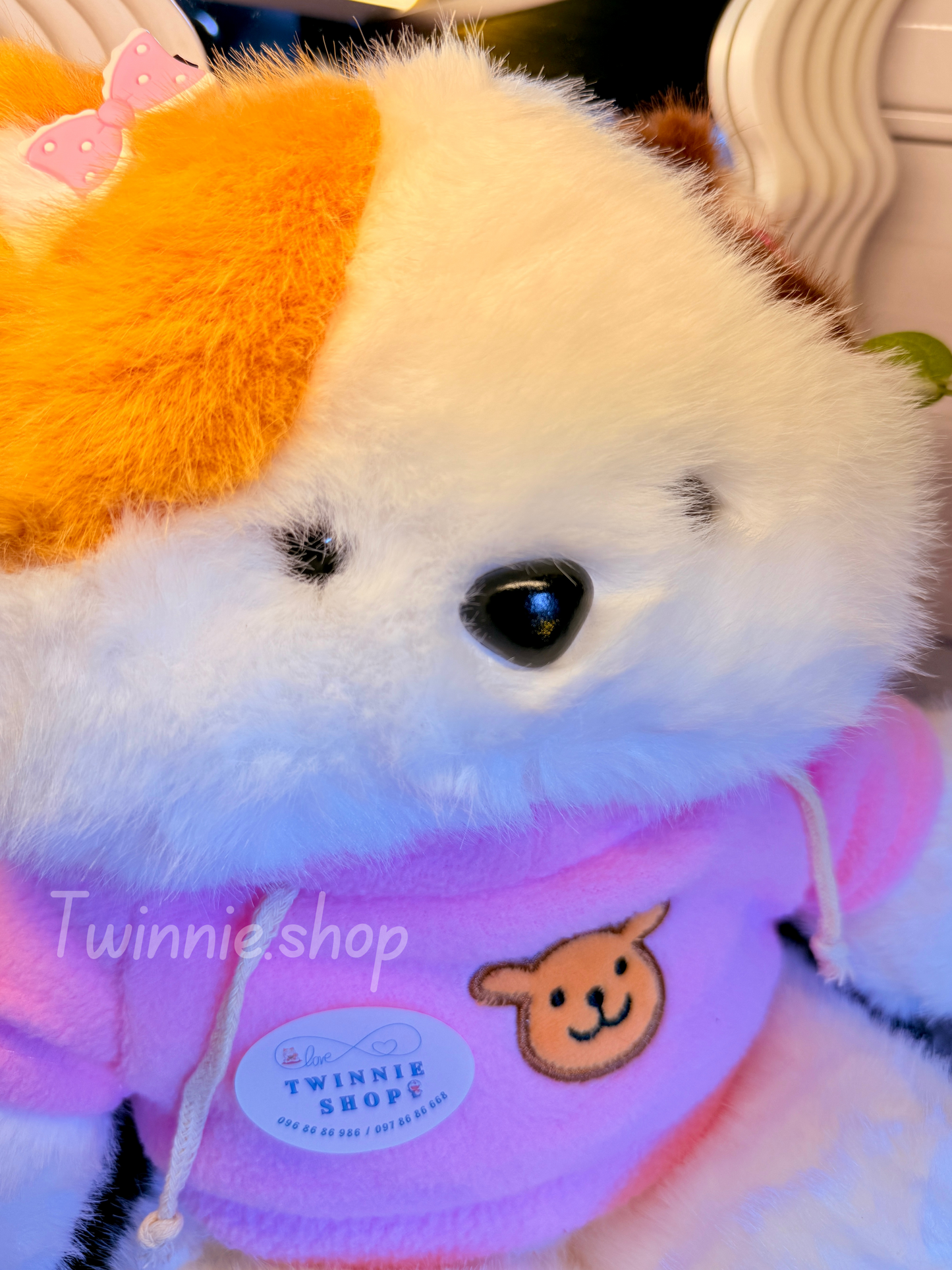 BT | Cute cat