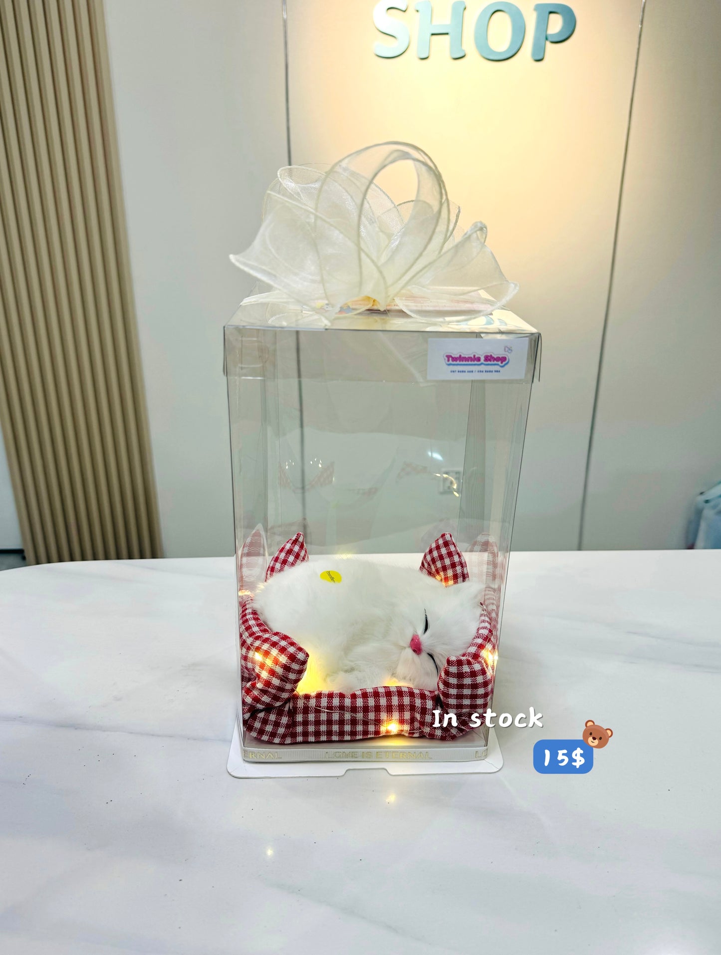SRB10 | Sleeping cat gift box