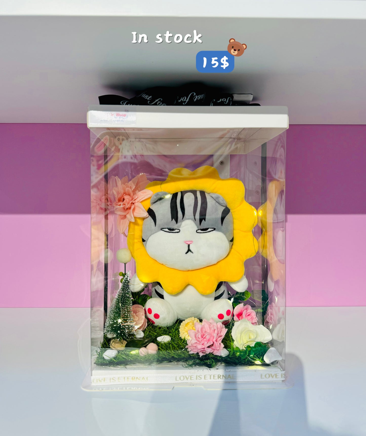 Xmas | Sunflower cat gift set