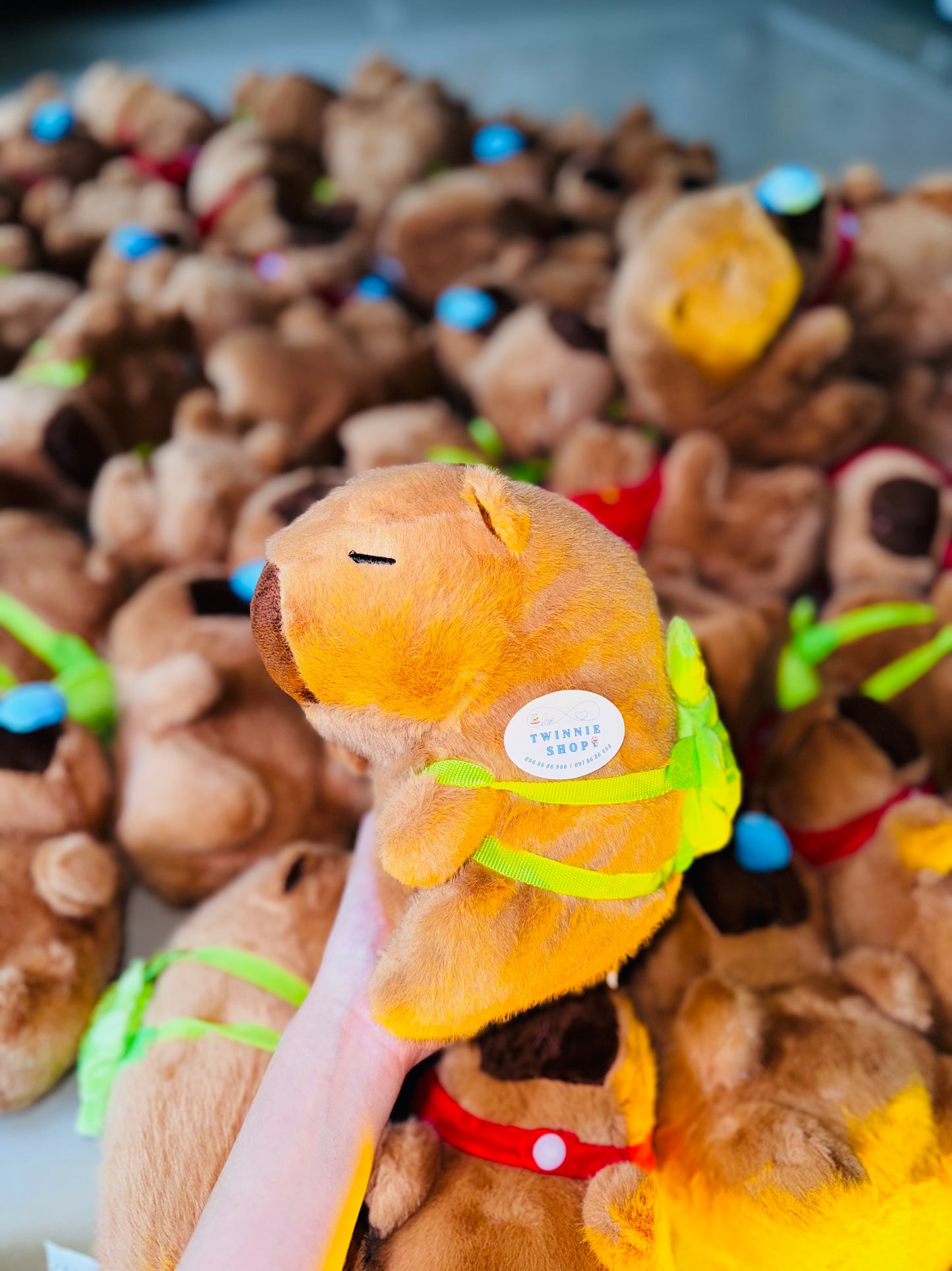SD | Capybara