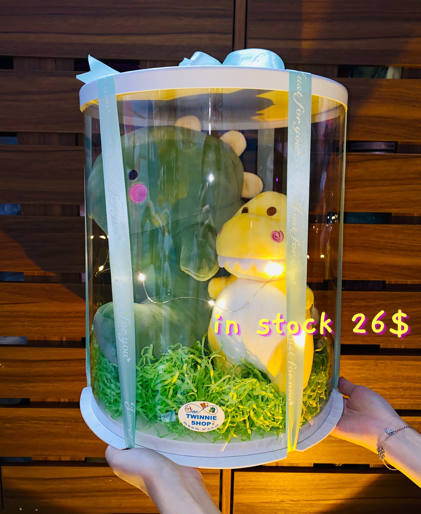 BB | Dinosaur big gift set