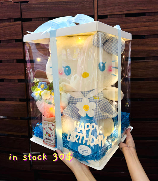 BB | Kitty big set