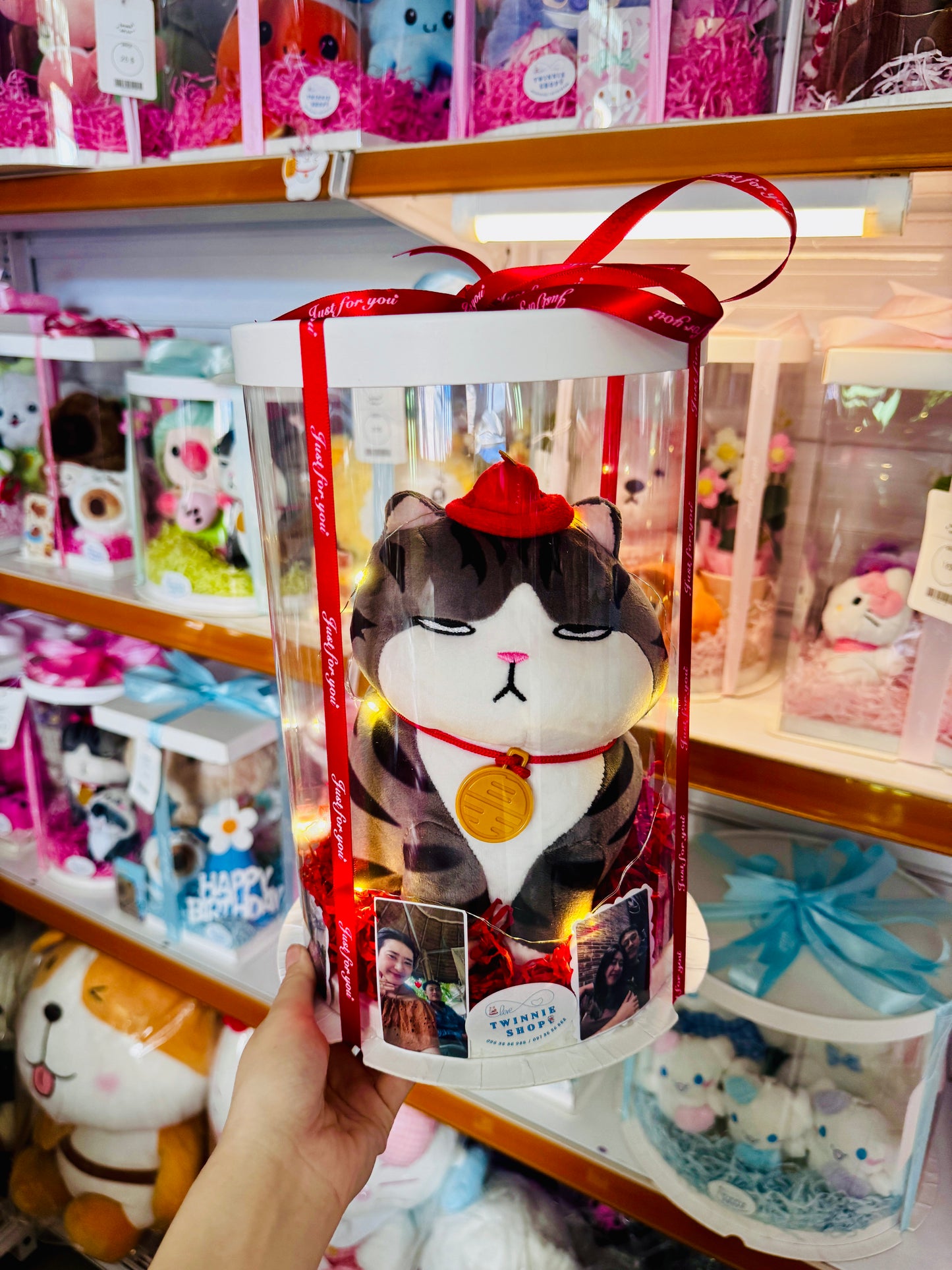 SRB10 | moody cat gift box