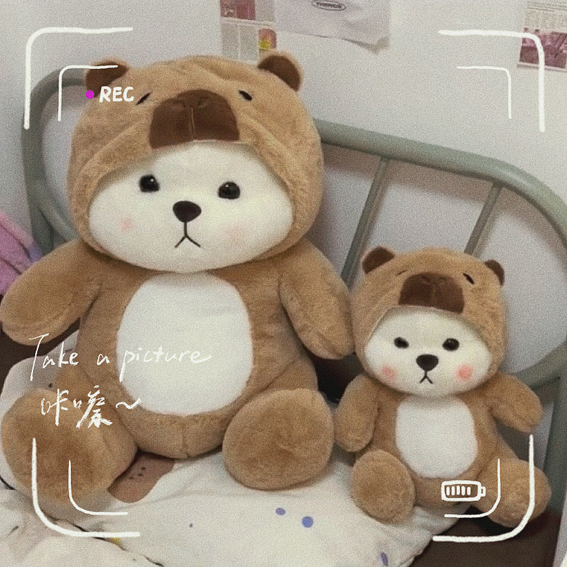 BT | Brown Bear