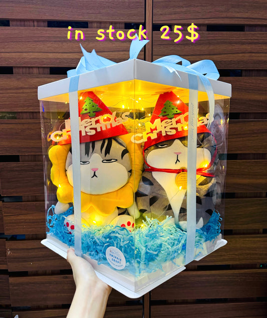 Xmas | cat couple gift set