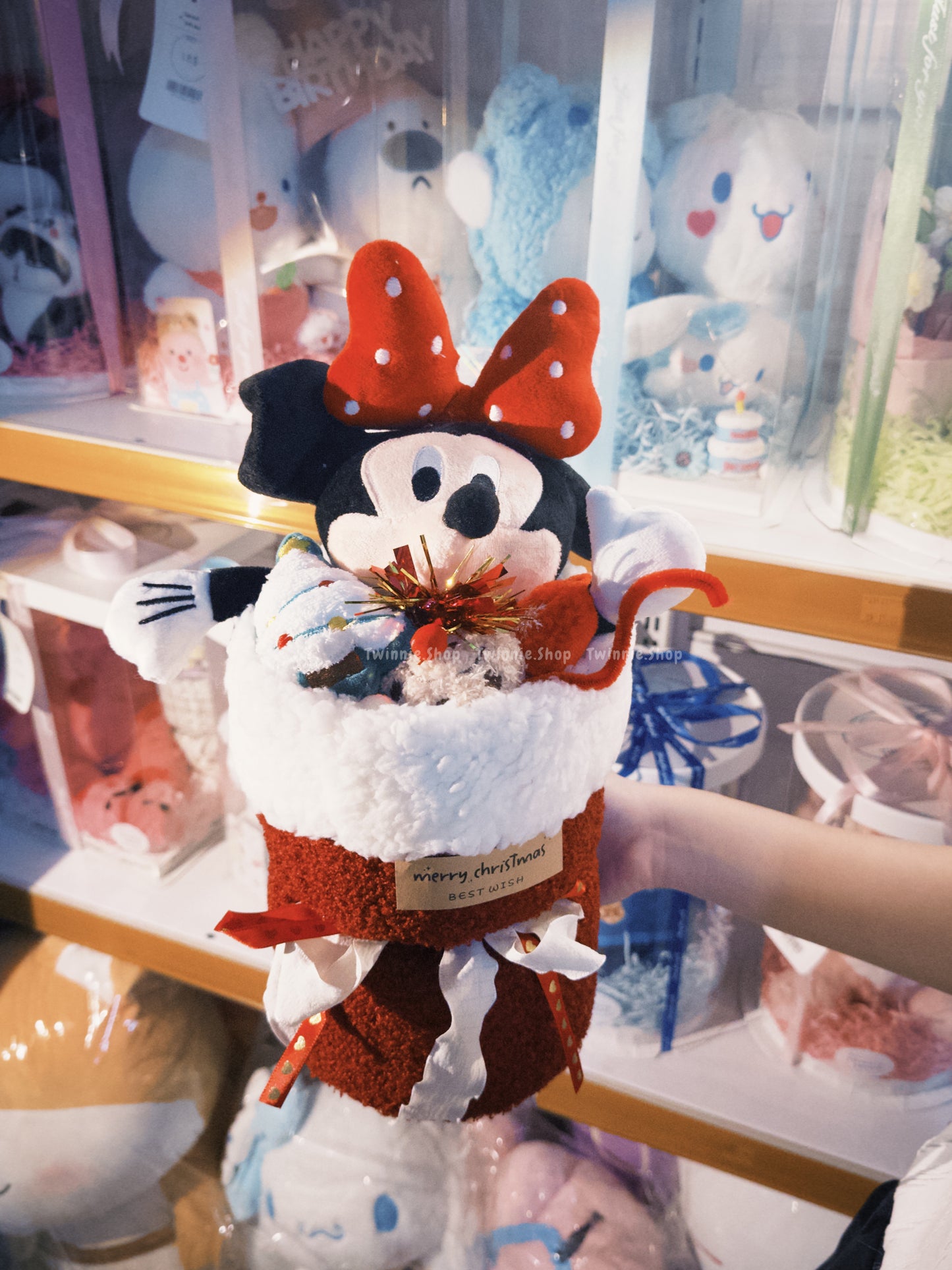 FW | Mickey Mouse flower