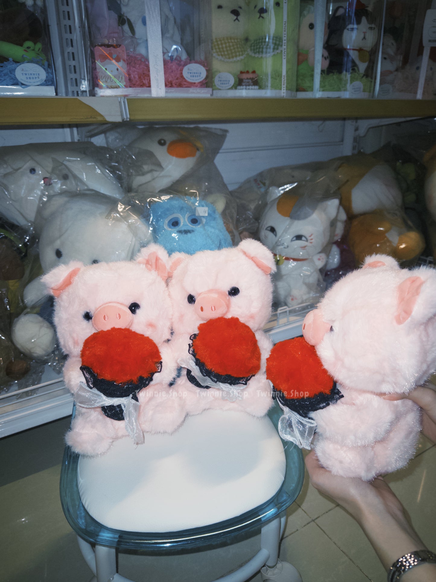 SD | Rose pig