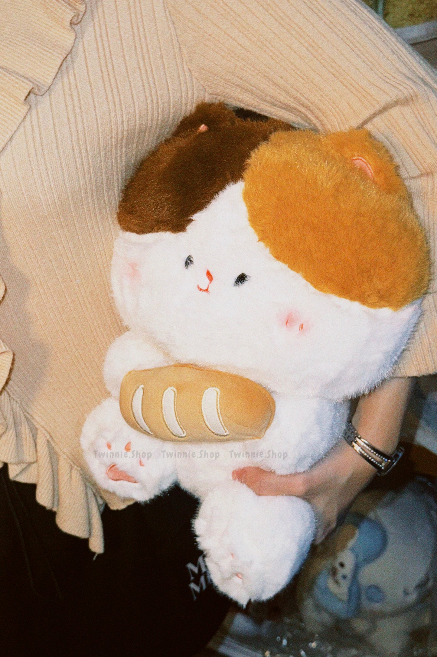 BT | Bread cat
