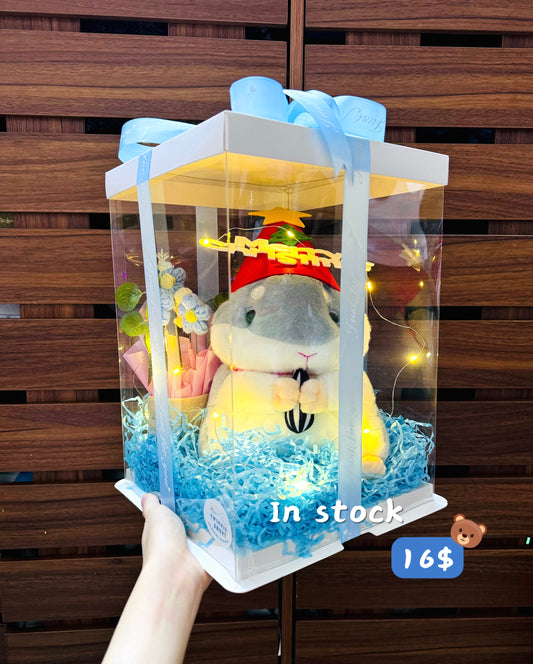 Xmas | Blue hamster box
