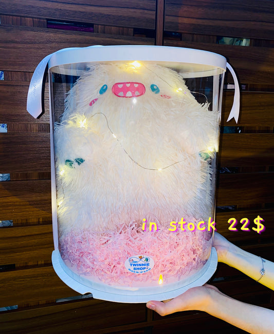 BB | Pillow gift set