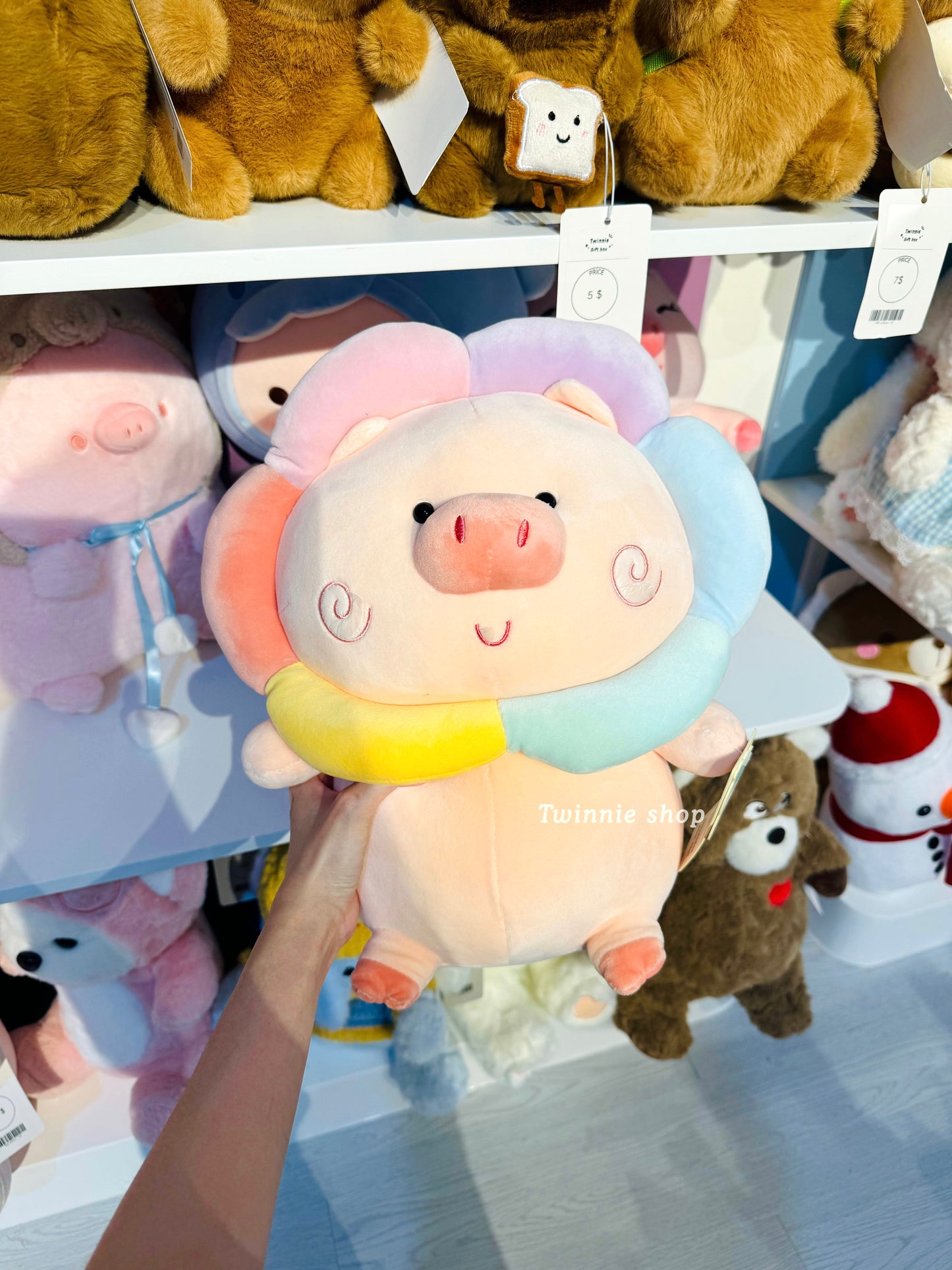 BT | Rainbow pig