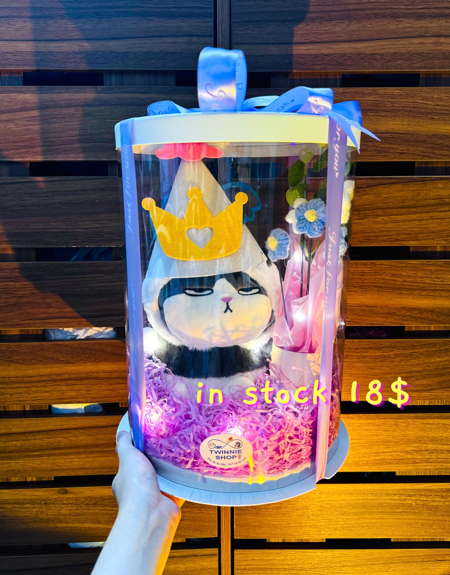 PCB | Cat princess set