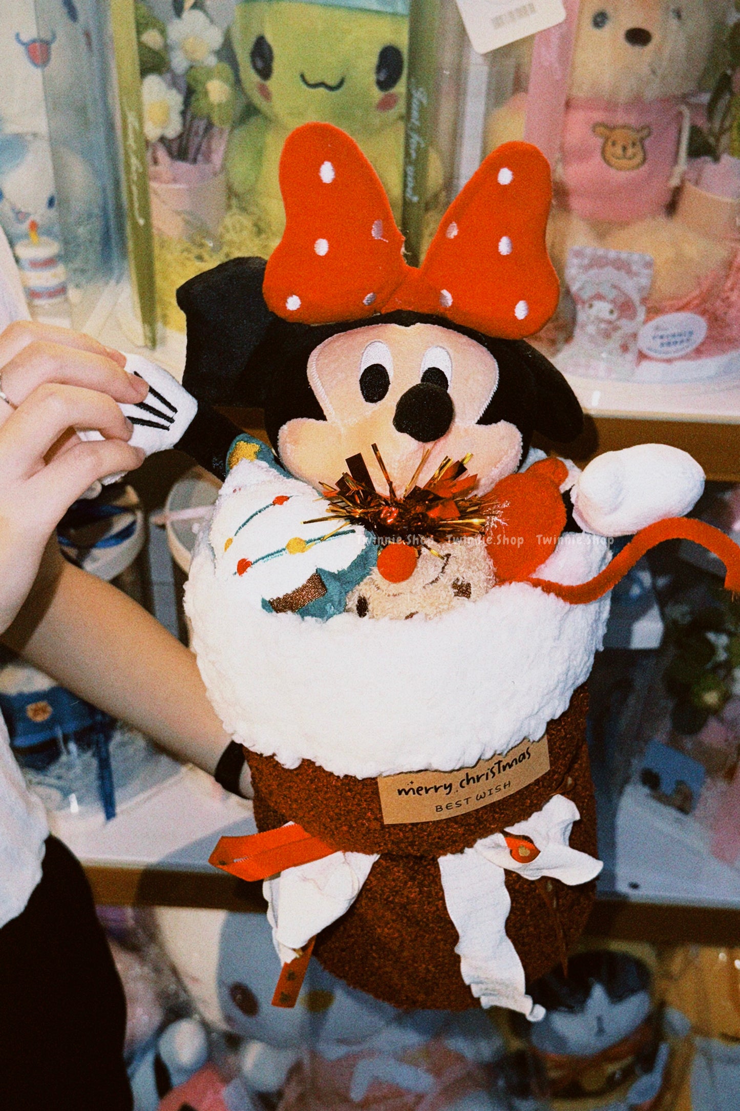 FW | Mickey Mouse flower