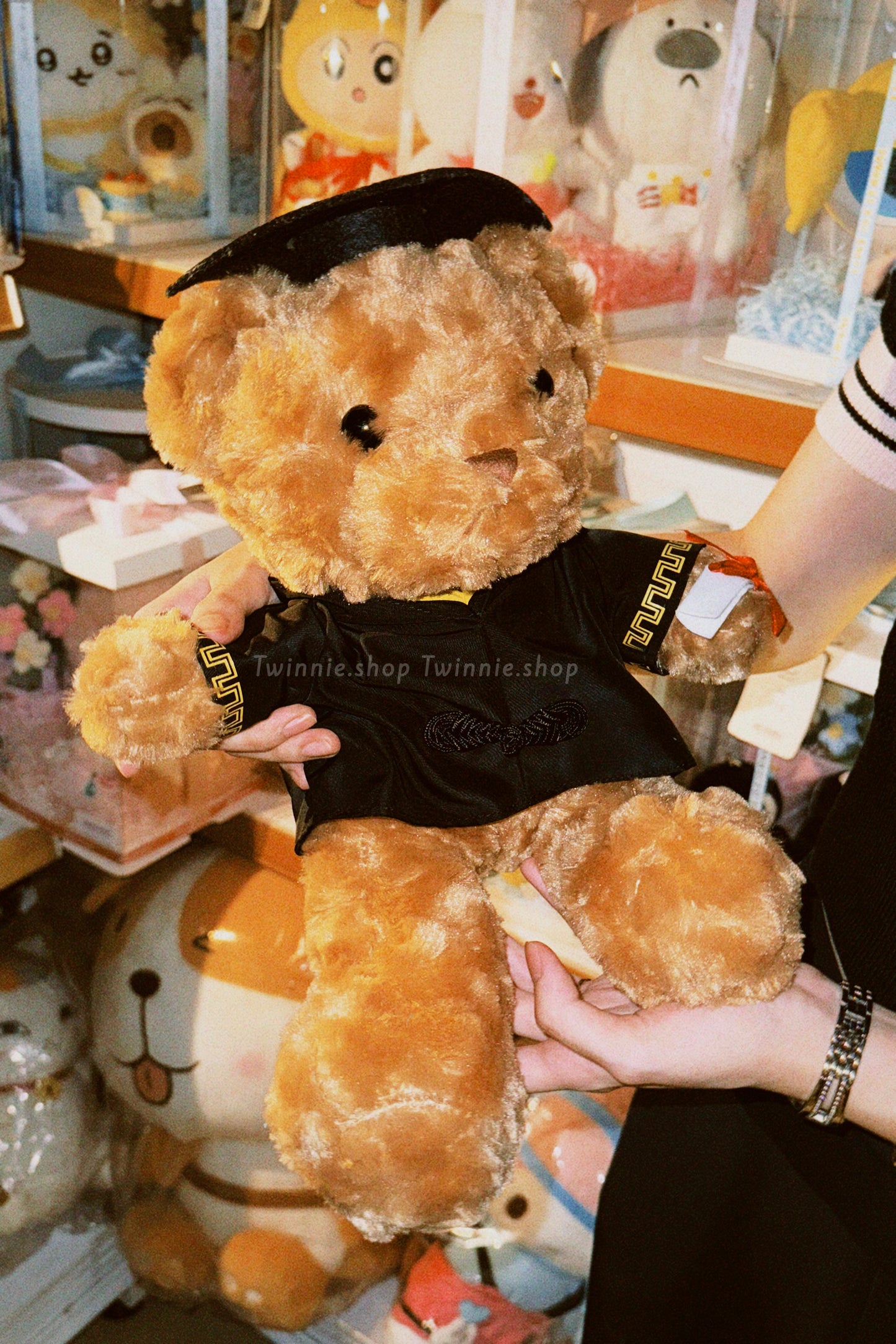 BT | Graduate brown bear