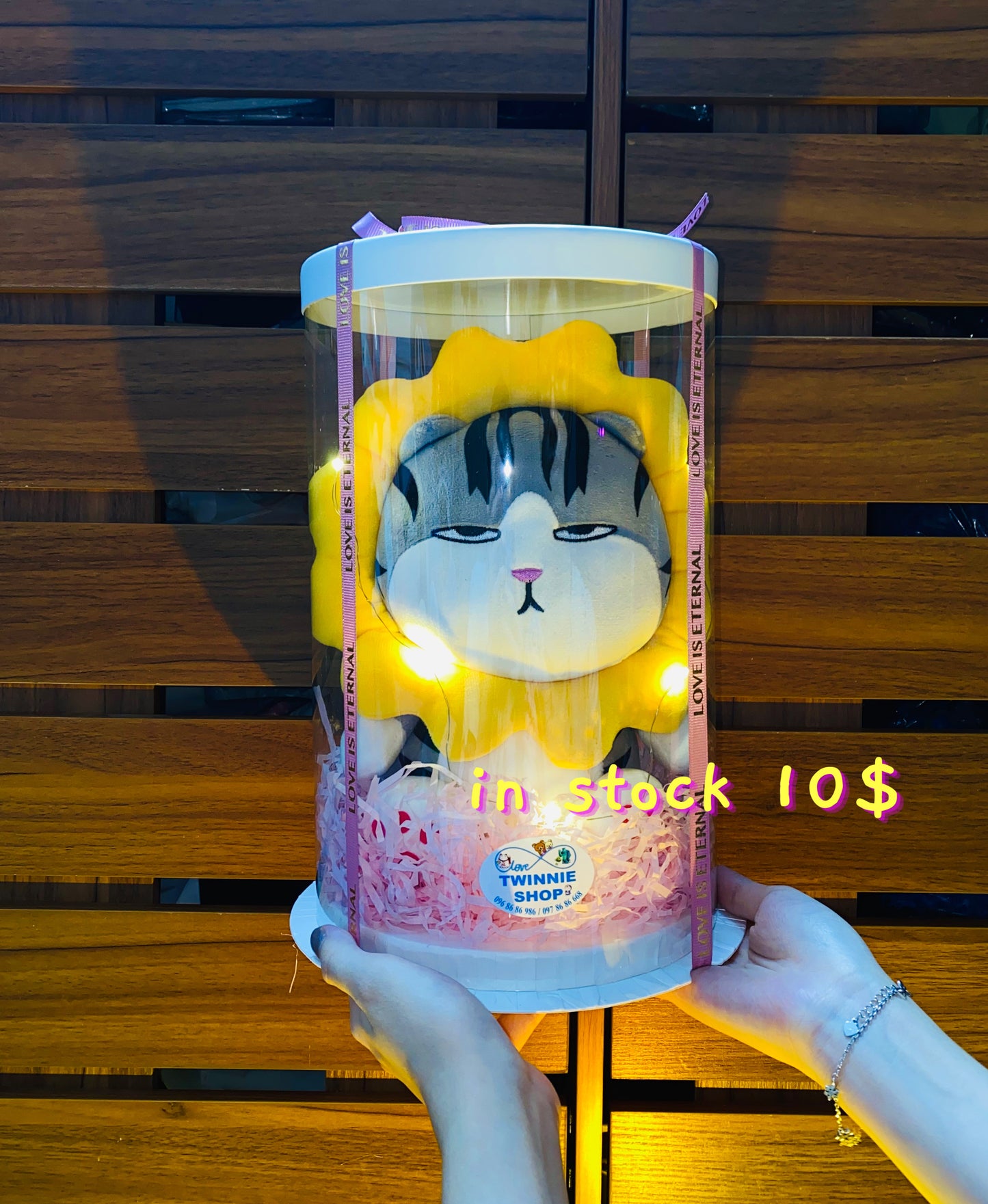 SRB10 | Moody cat gift box