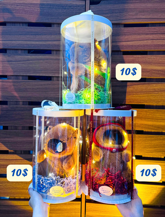 SRB10 | Capybara mini box