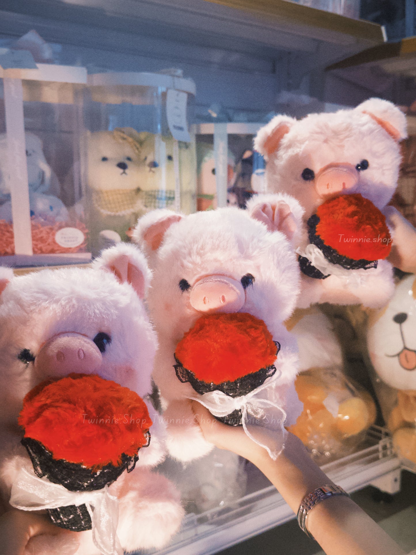 SD | Rose pig
