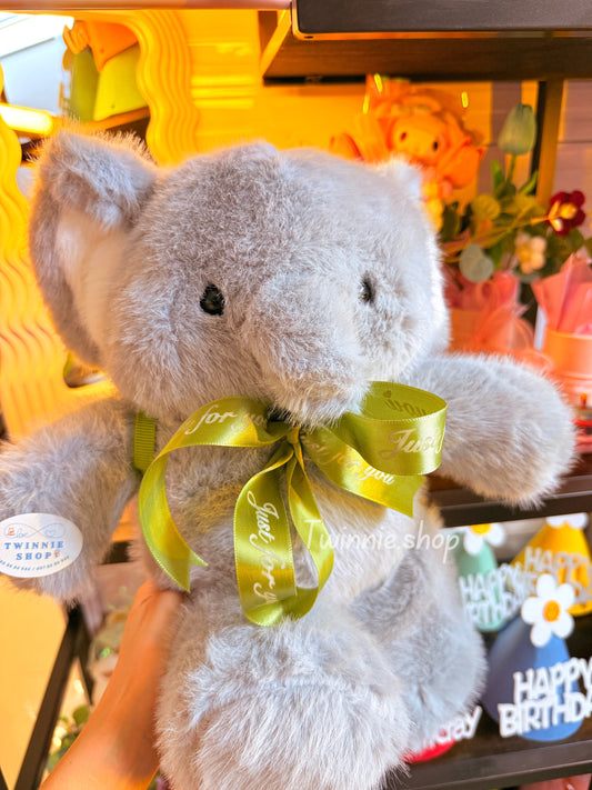 BT | Grey Elephant