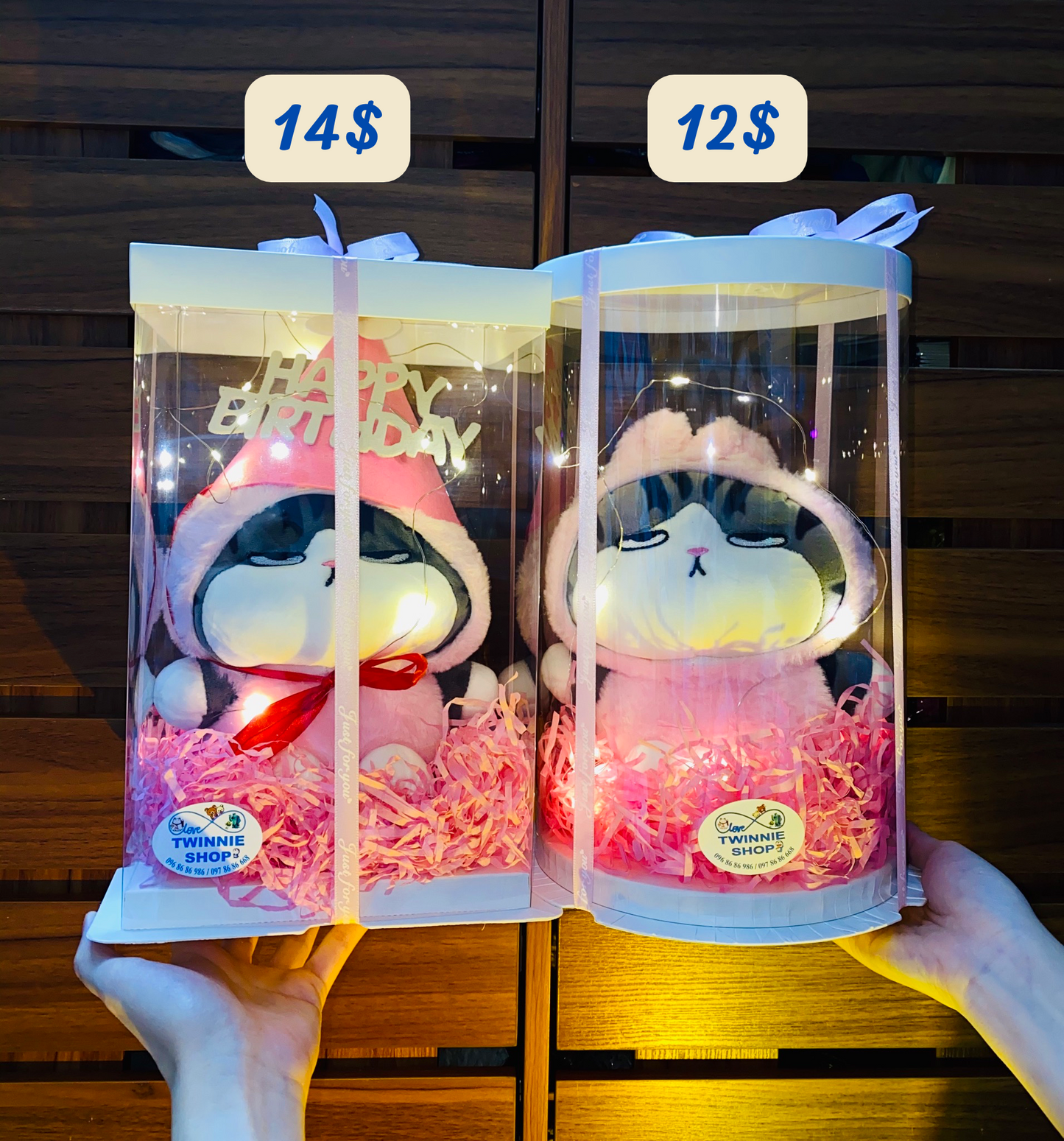 SRBBD | cat birthday box skin cat