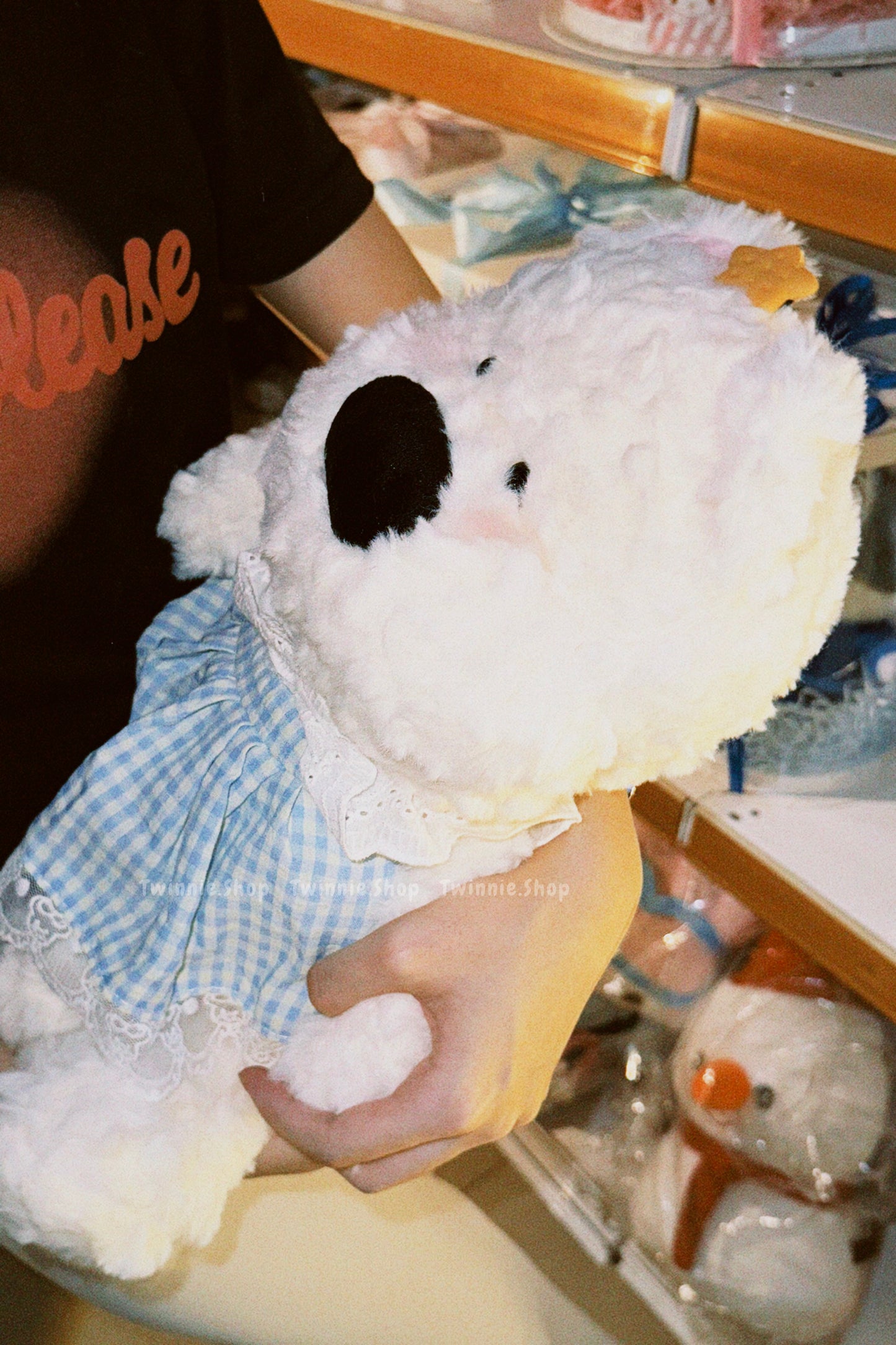 BT | Dress Star puppy