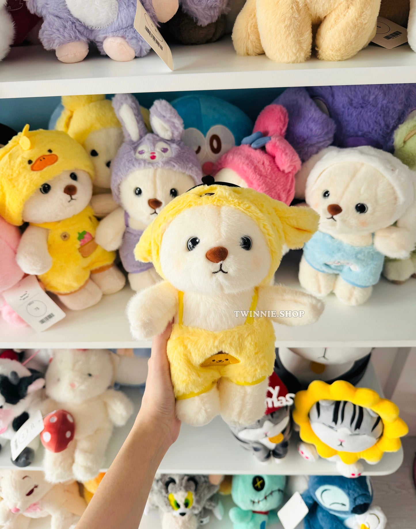 SD | Colorful bear