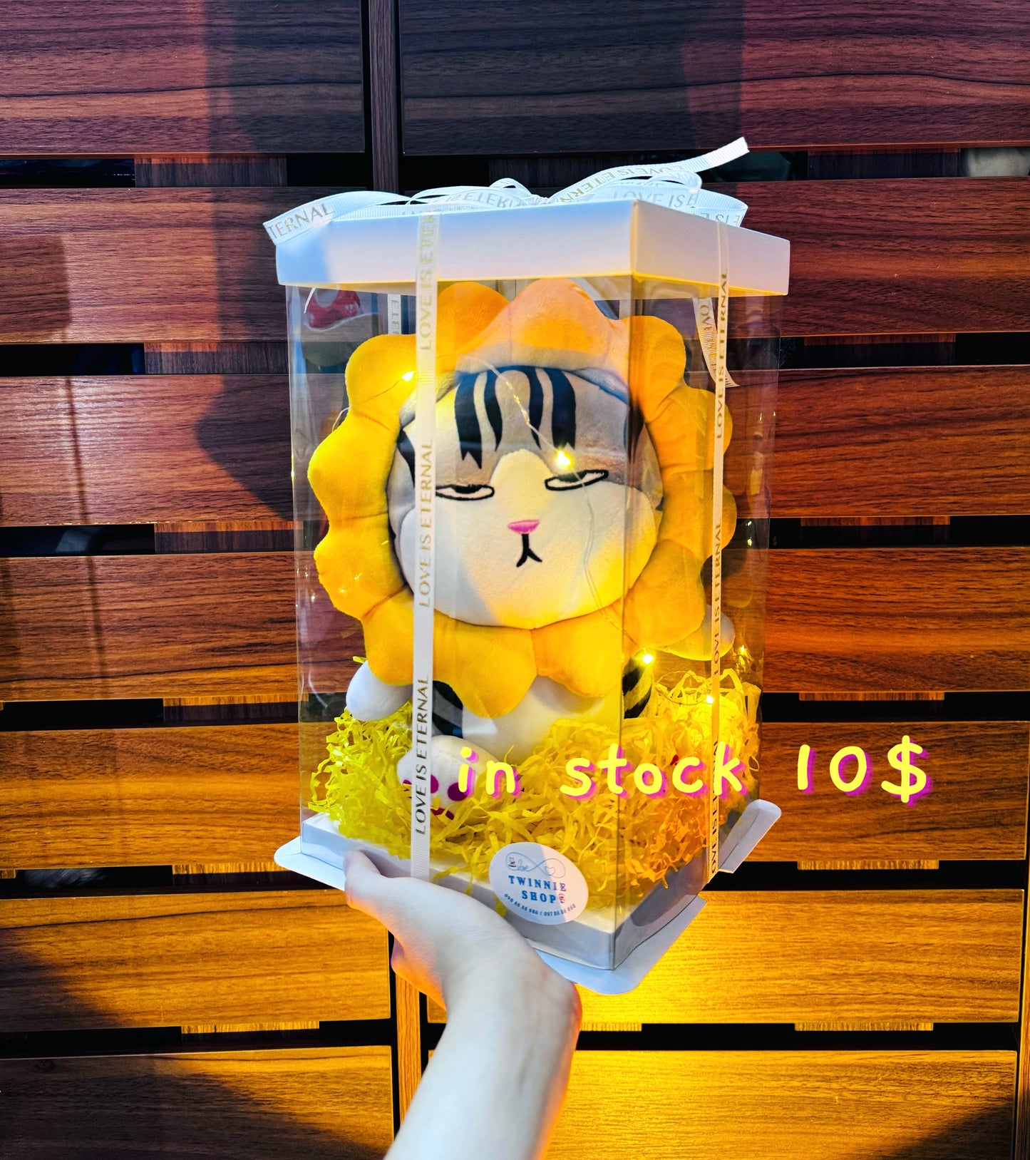 SRB10 | Moody cat gift box