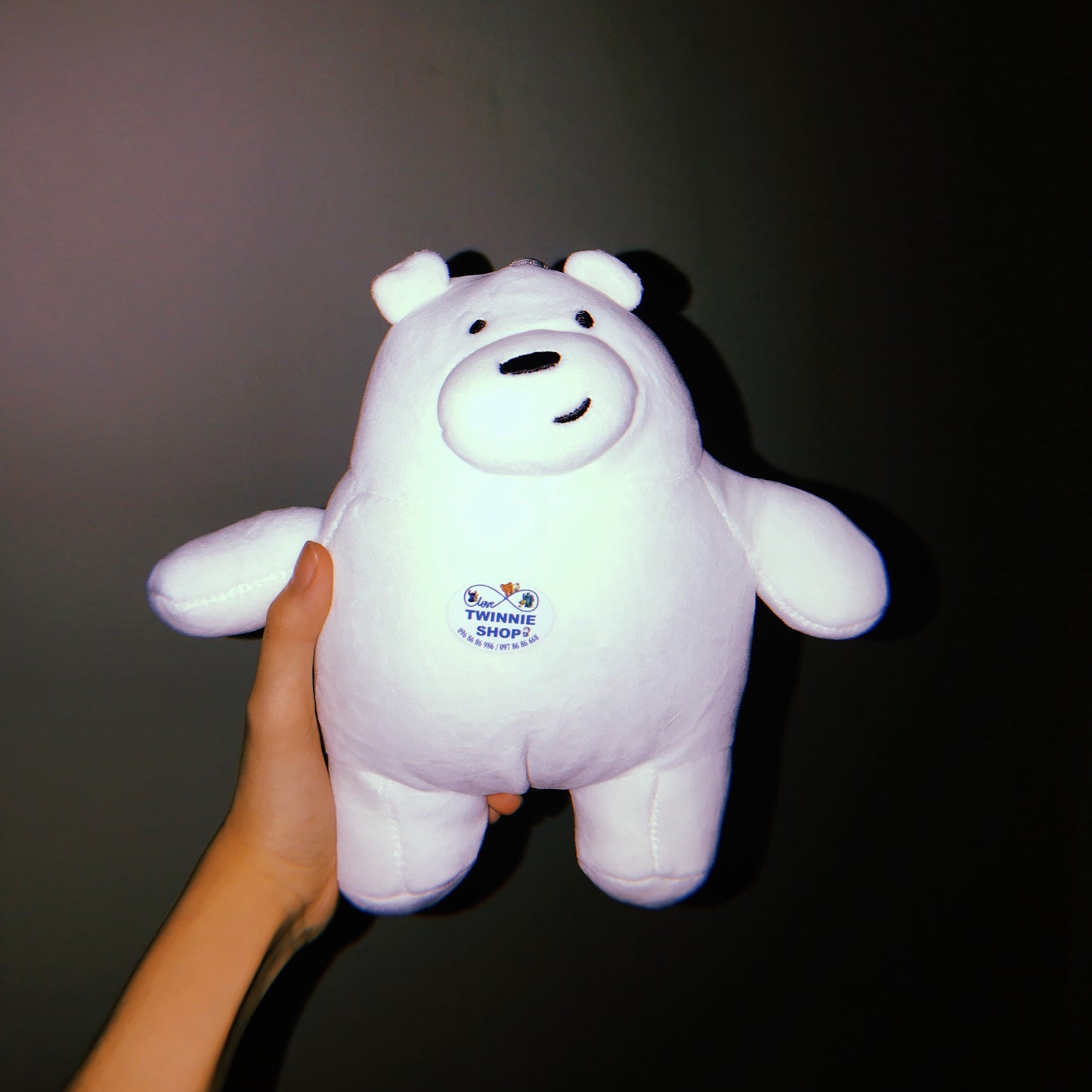 SD | We bare bear