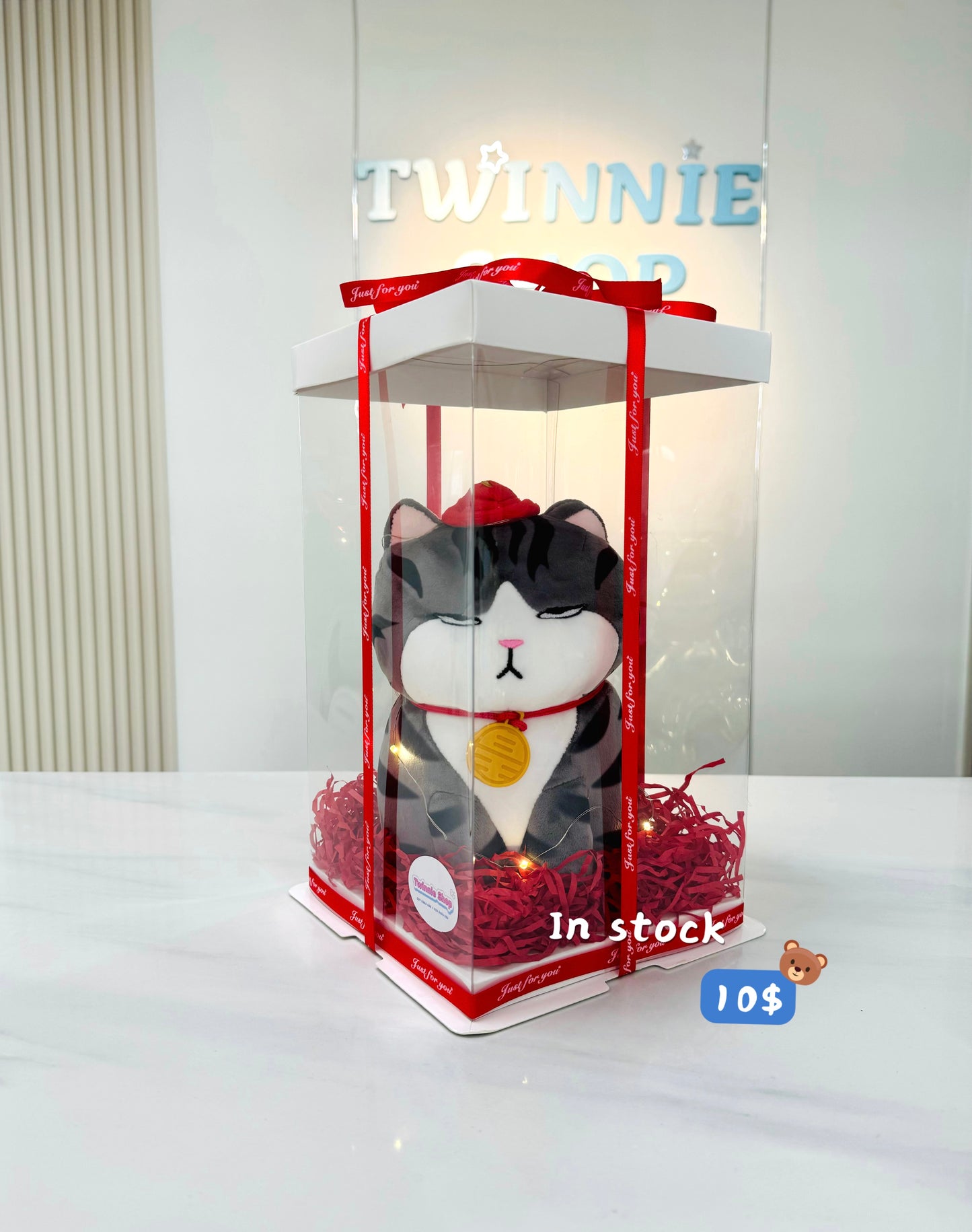 SRB10 | moody cat gift box