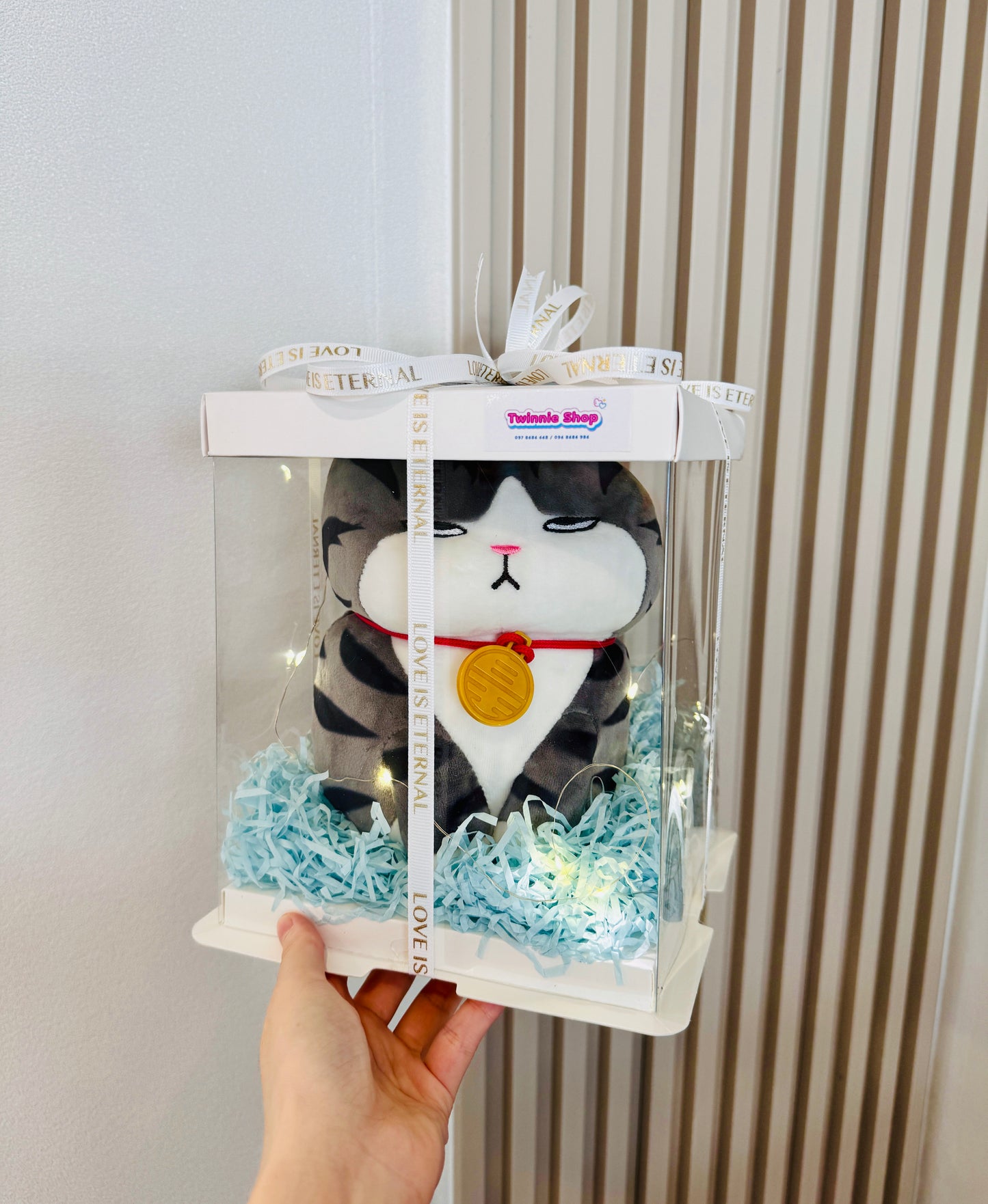 SRB10 | moody cat gift box